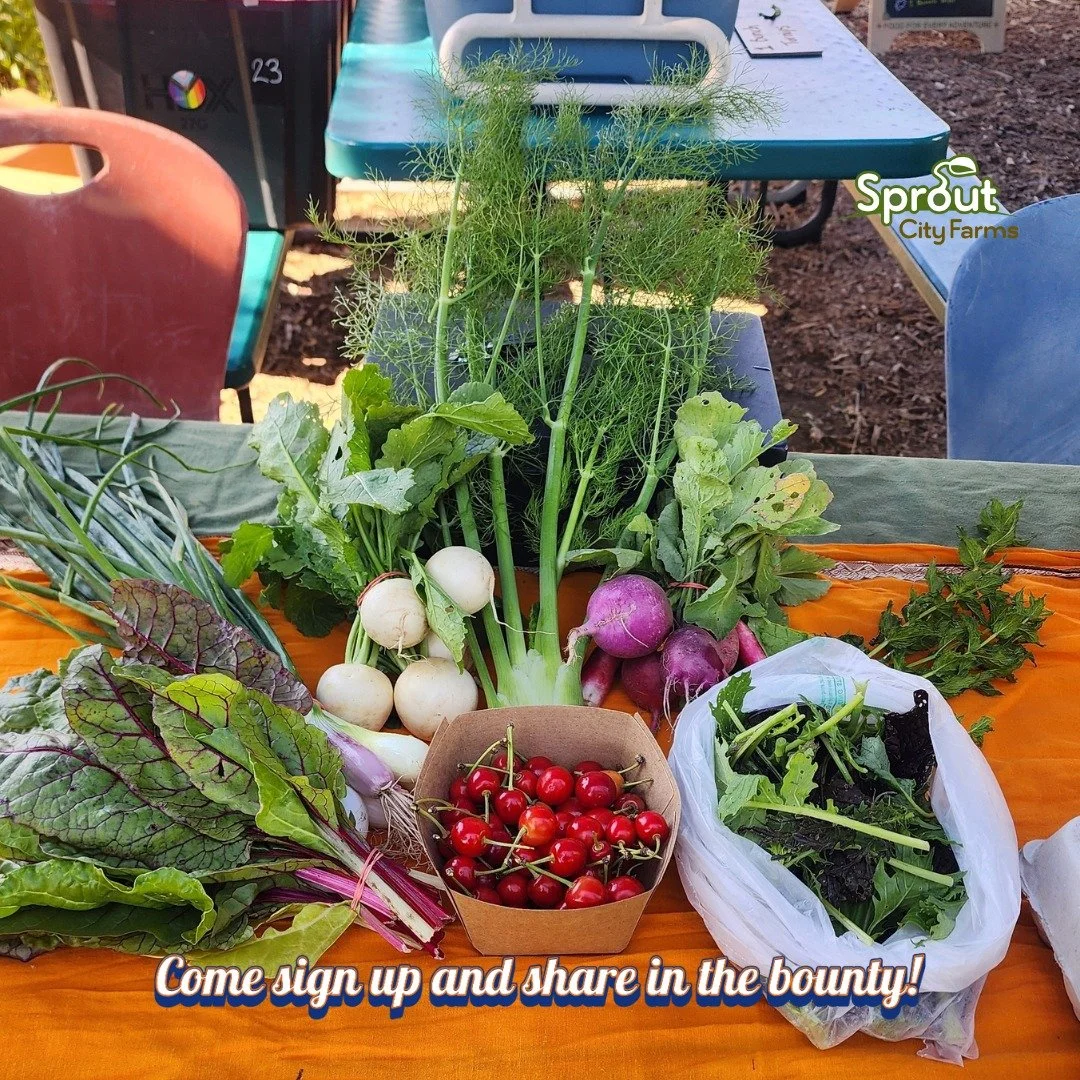 🌱 Good food is a human right. 🌱
Our no cost CSA is accepting applications. Need a little extra support putting fresh, nutritious food on the table? We're here to help. 

Copy this link to apply https://forms.gle/F1sgxPZTtCVpxQkY7

#FreeProduce #Hea