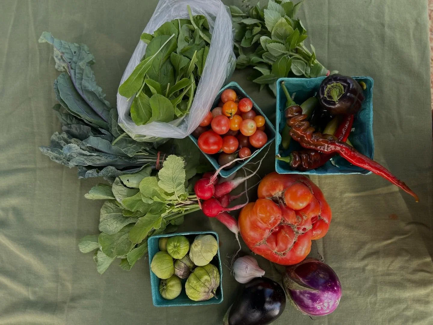 CSA Week 13 at Denver Green School: Summer abundance with some fall crops starting to come in!