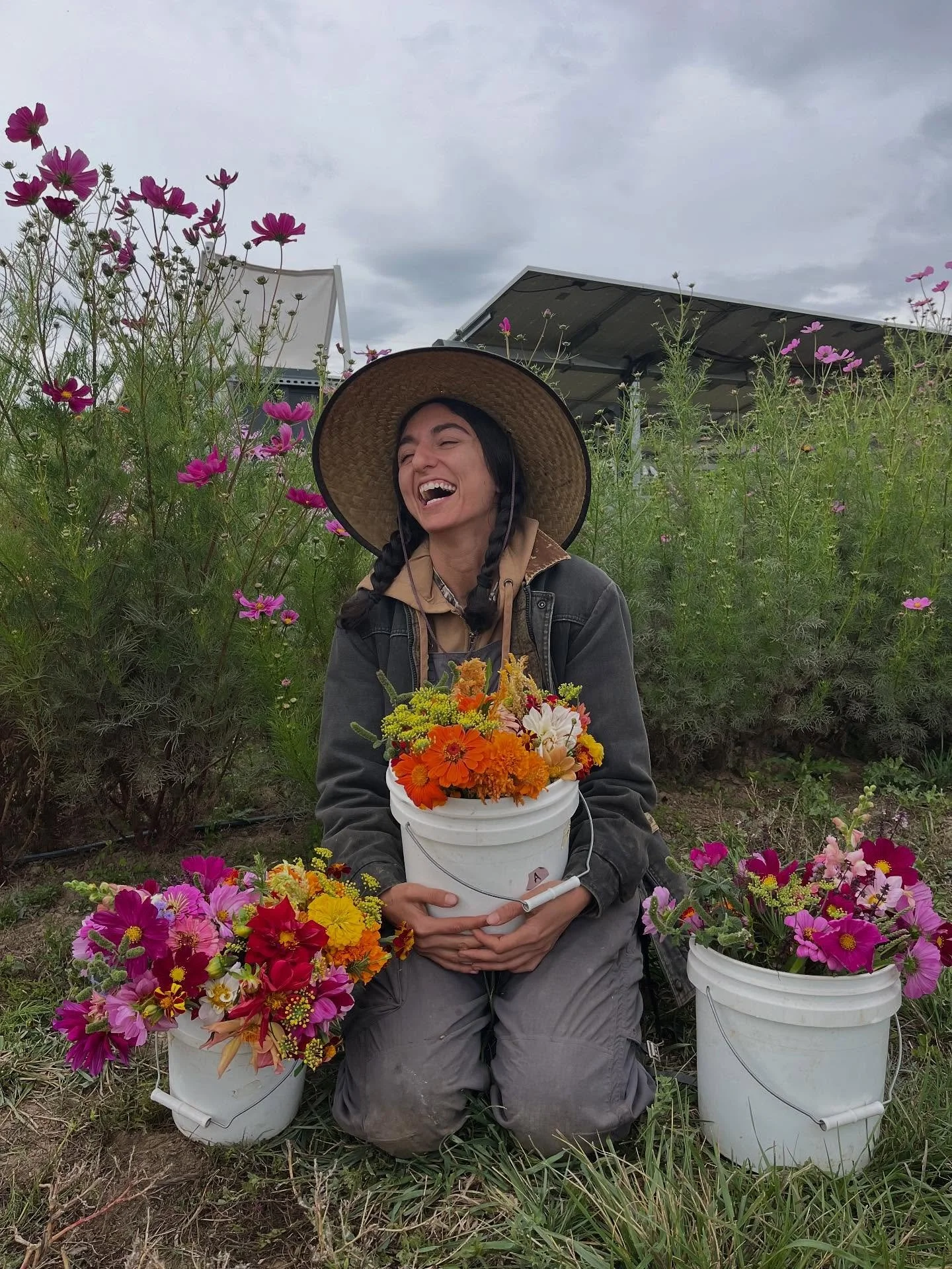 We grew flowers this year!!! 🌸💐🌻
@jackssolargarden at our Longmont location!!

Our new farm crew member Audrey led the way with her extensive knowledge of growing cut flowers!! We had a handful of new beds we added to the farm that were covered cr