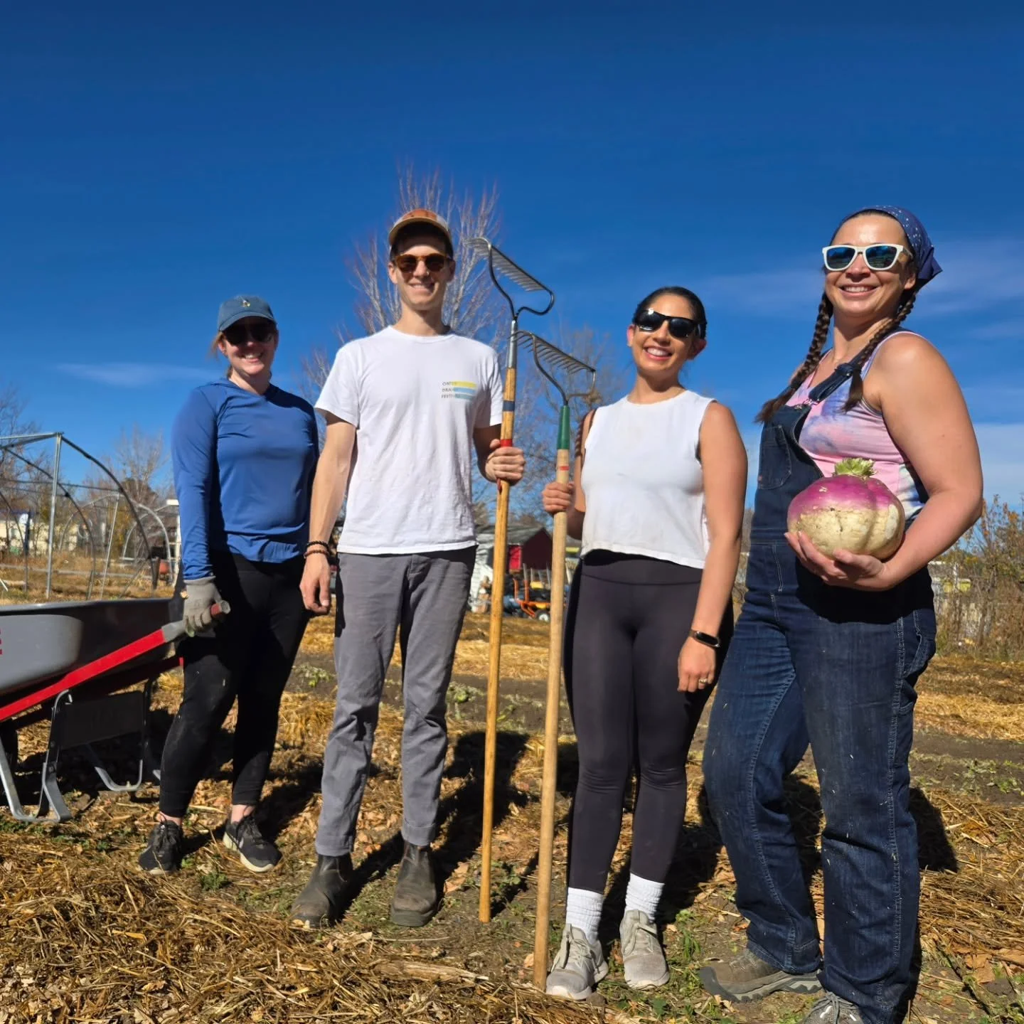 How do you help a farm get ready for winter? You show up! 🥕 Thank you to our friends from The Alliance for Collective Action, who helped us 🍂 mulch and protect our beds moving into the winter. They were a pleasure to have and a great help!