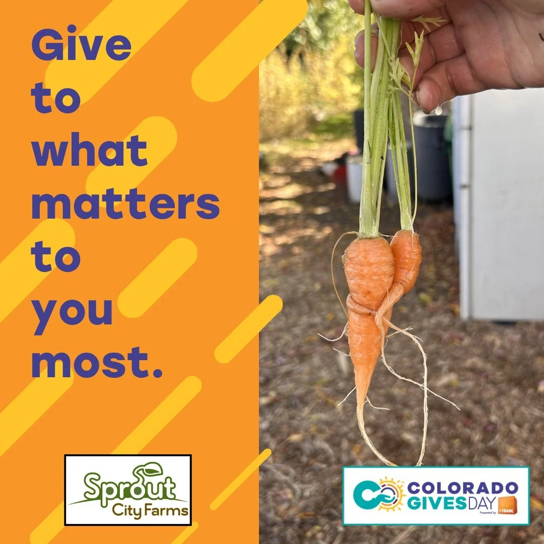 Early giving is underway! Be part of the wave of generosity this Colorado Gives Day! Your gift helps us grow and distribute fresh produce in our farm communities and  brings us closer to our goals of building a more just, equitable, resilient, and co