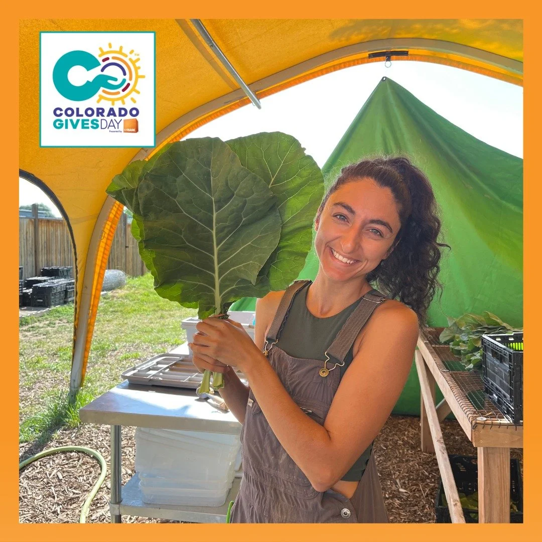 We did it! 🎉 55% of produce distributed from both farms went to families in need! 

🥕 Half of the memberships in our CSA program at DGS went to families experiencing food insecurity at no cost 

🥕Our donation-based farm stand at DGS reached over 1