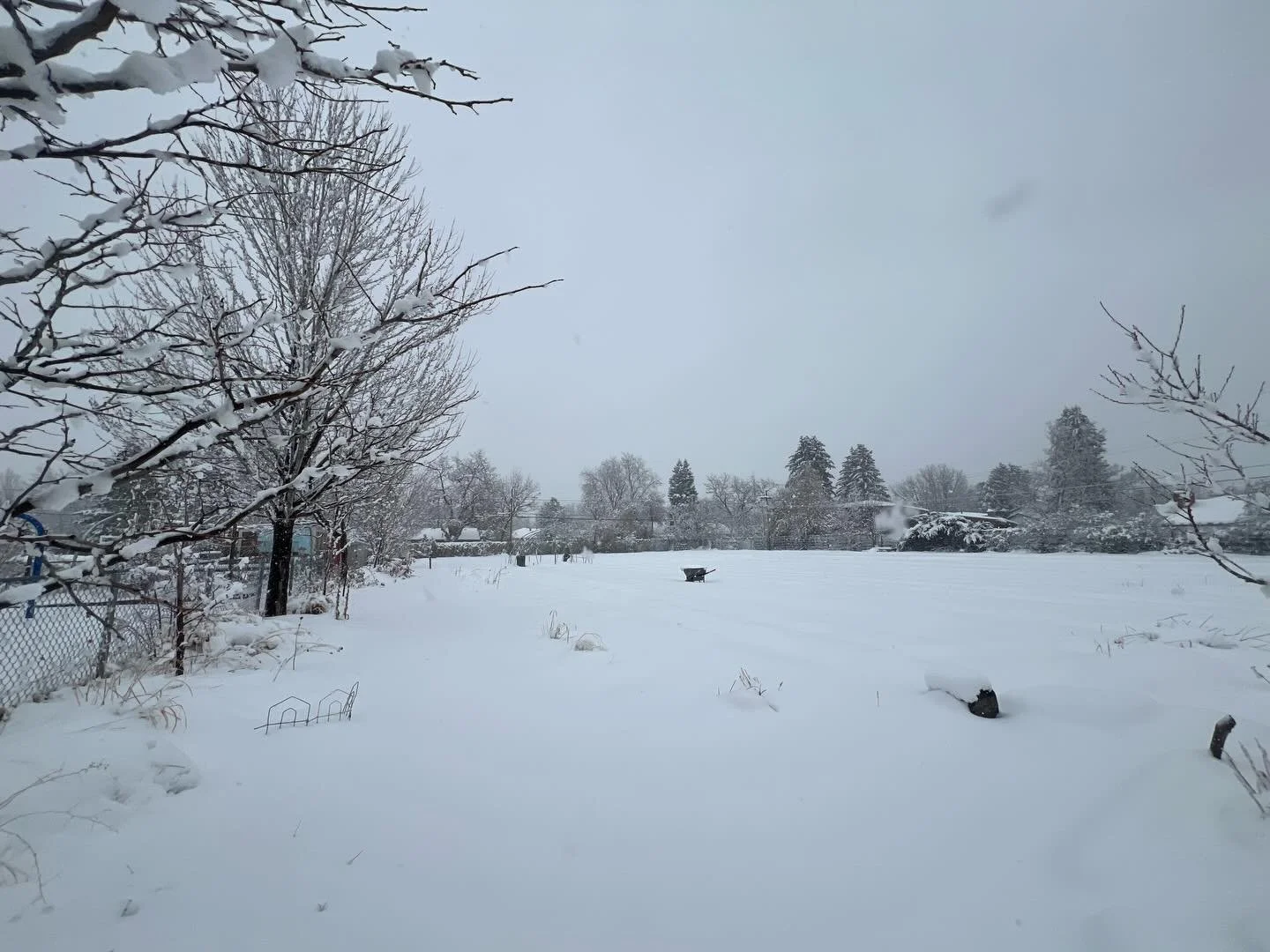 Finally!!! Thankful for the snow today across Denver ❄️🥳 

This alarmingly warm and dry winter (approaching the warmest on record) has all of us worried about lack of farmland surface water supply, increased danger of wildfires, and the health of ou