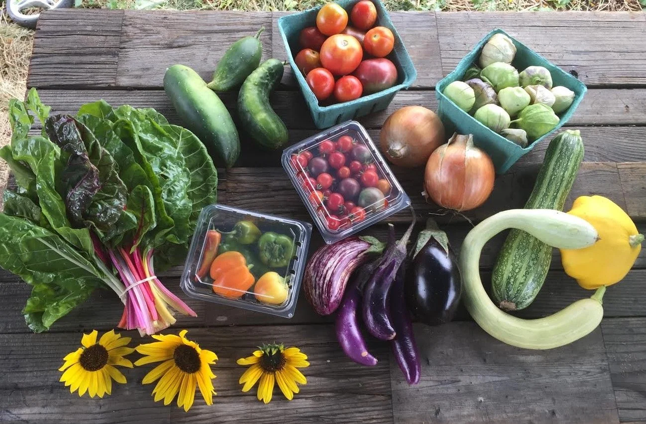 DGS CSA Pickup