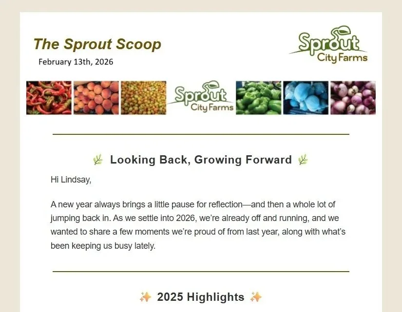 Newsletter Februrary 2026
