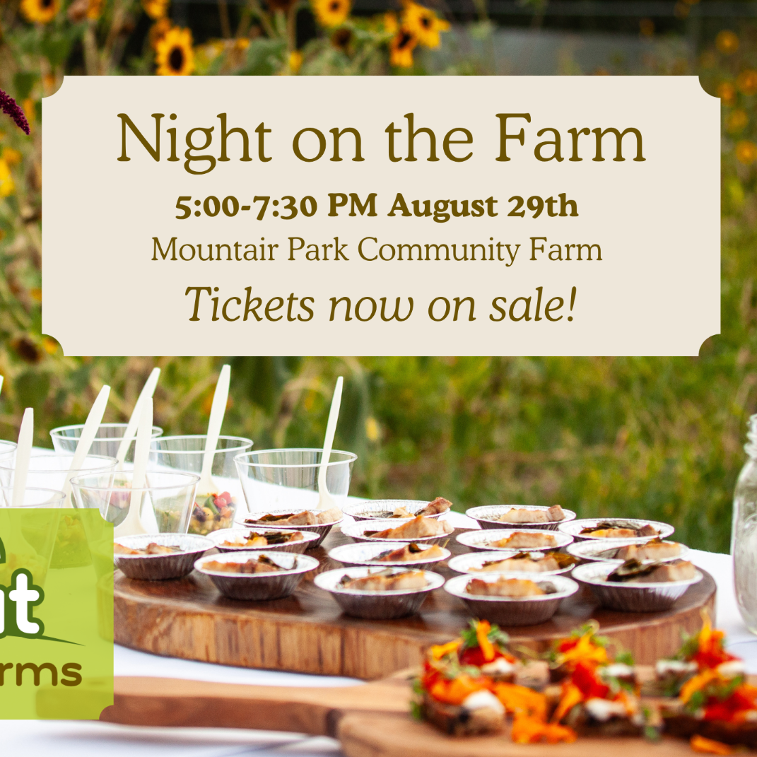 Night on the Farm