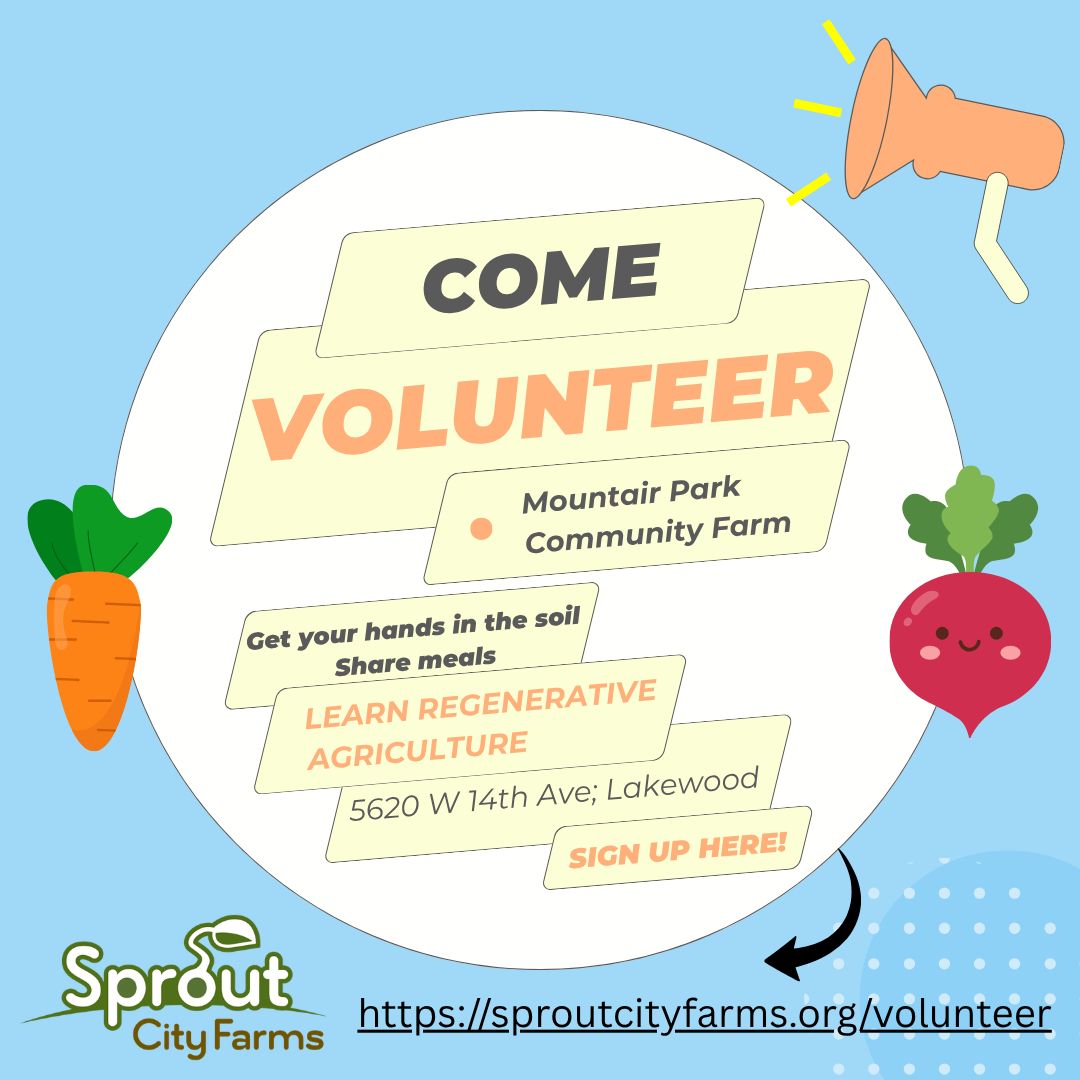Friday Volunteering at MAP