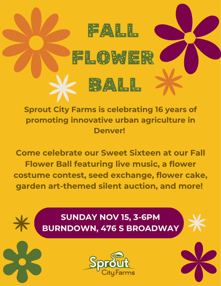 Fall Flower Ball - Sprout City Farms' Sweet Sixteen