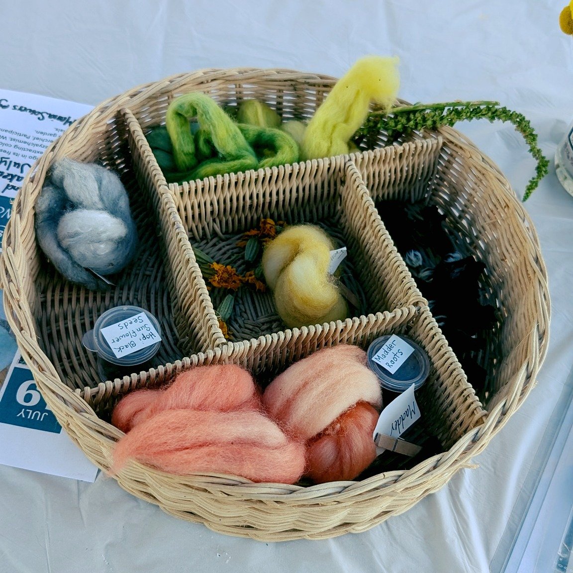 Join us this Friday, September 25th at noon for a natural dye workshop at DGS! 

Our volunteer time from 10 am to noon is followed by the last Lunch and Learn of the season -  a natural dye workshop taught by Janelle Sowers, fiber artist and former S