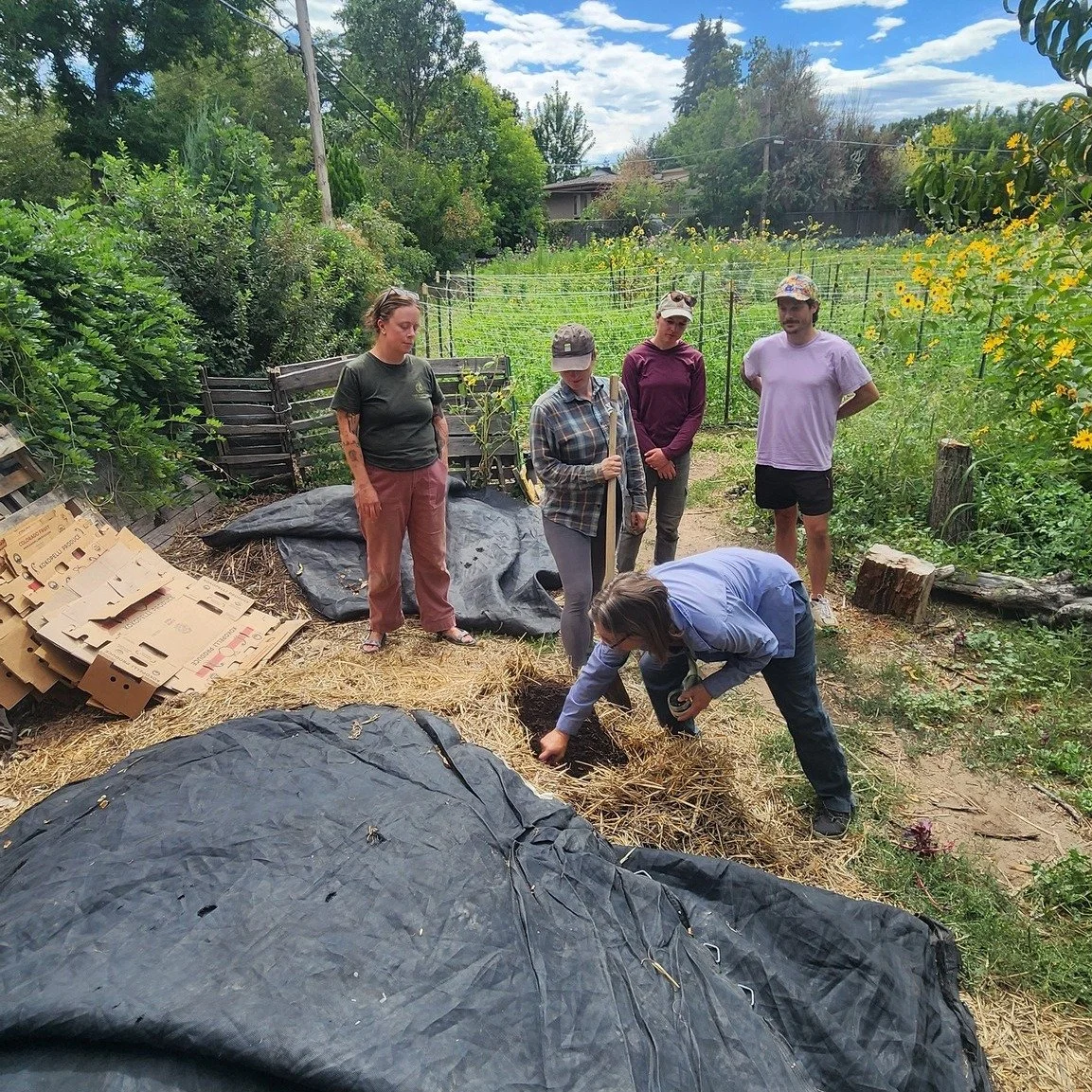 At our recent DGS Lunch &amp; Learns, we got to dig into two fascinating&mdash;and mostly invisible&mdash;parts of a healthy farm ecosystem: microbes and mycelium!

Last week, Christine Gust of @soil_transformations taught us all about microbes and w