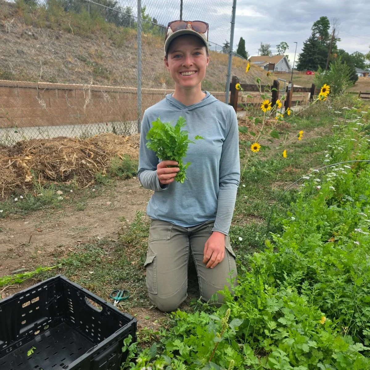 We had such a great time getting the whole crew together at Mountair Park Community Farm  on Monday. The cooler weather was very welcome, and we spent the day harvesting potatoes, cilantro, peppers, and plenty more goodness from the farm. 💚