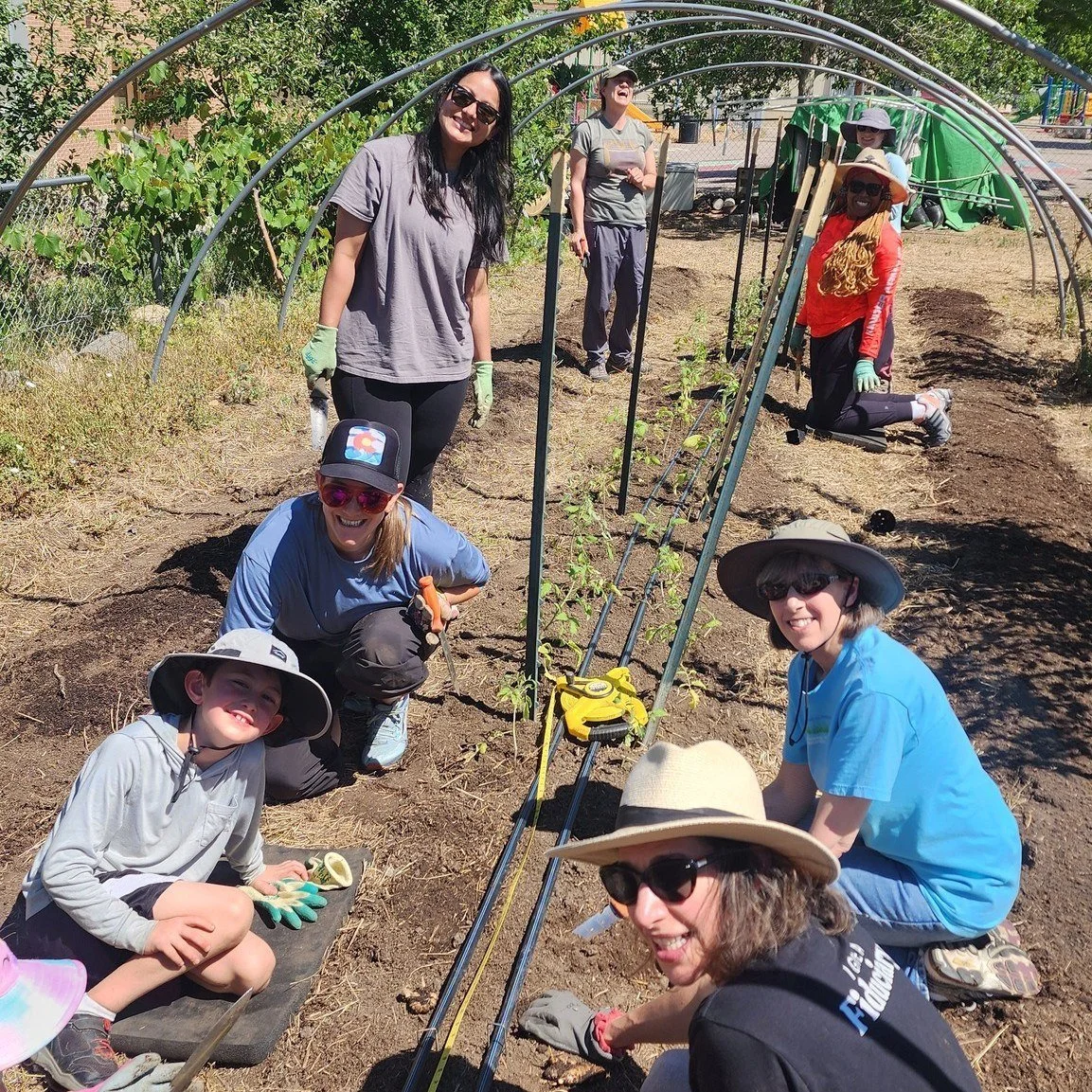 Big farm-fresh THANK YOU to all the volunteer groups who have joined us in the fields this season!  Your hard work makes a big difference. Farming is community work - we couldn't do it without you!

🌟 Volunteers for Outdoor Colorado @voc_colorado 
?