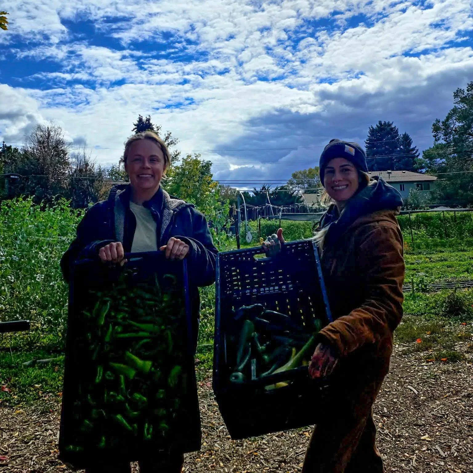 ❄️Freeze warnings are in place and the SCF crews are out harvesting our sensitive summer crops!❄️

After such a hot season, it's strange to see our farmers all bundled up, but they are committed to harvesting he crops that risk being killed in a fros