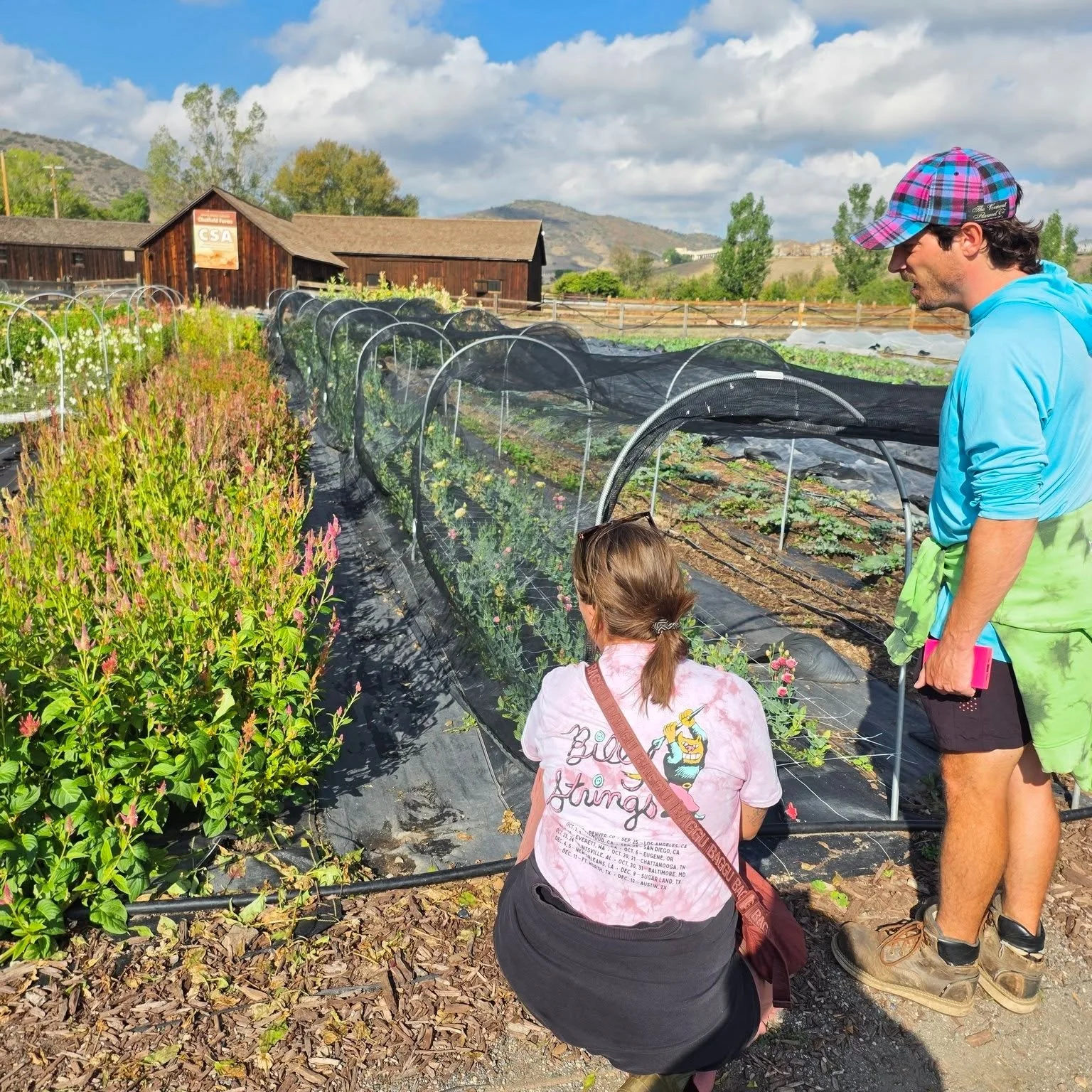 Last month, the Sprout City Farms team took a field trip to Chatfield Farms @denverbotanic for a tour and 'crew swap.' 

A huge thank you to Josie for showing us around! We learned about what it takes to run a CSA with 300+ shares and explored all th