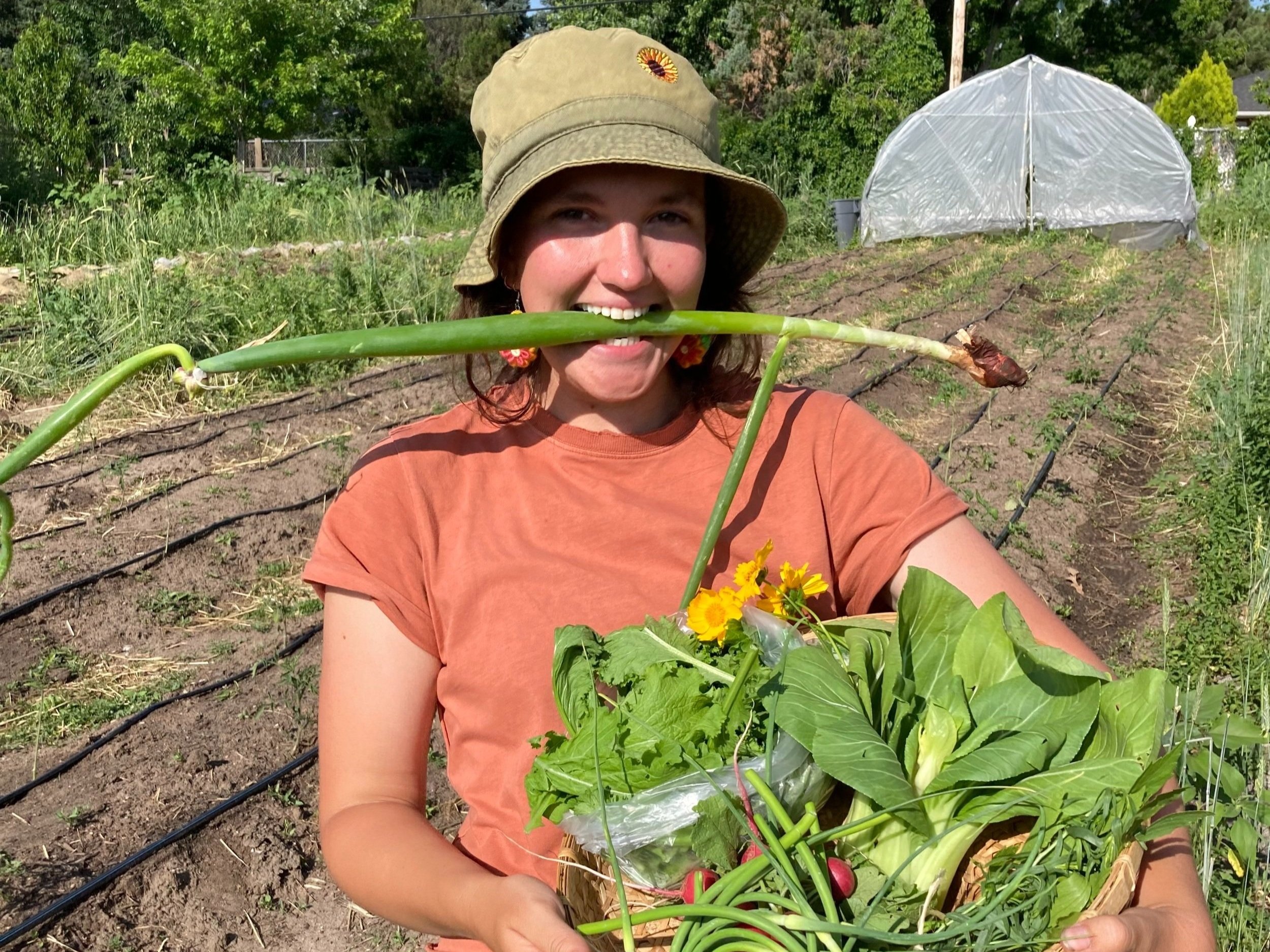 Our Team - Sprout City Farms