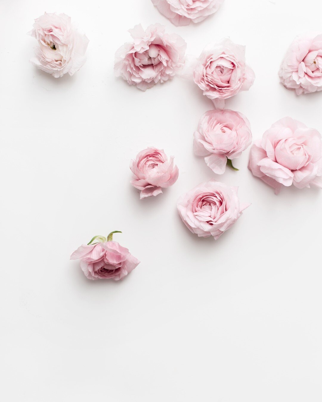 The name ranunculus is a combination of two Latin words, &quot;rana&quot; meaning frog, and &quot;unculus&quot; meaning little. It is assumed that ranunculus flowers earned this name because they grew along streams and were as plentiful as little fro