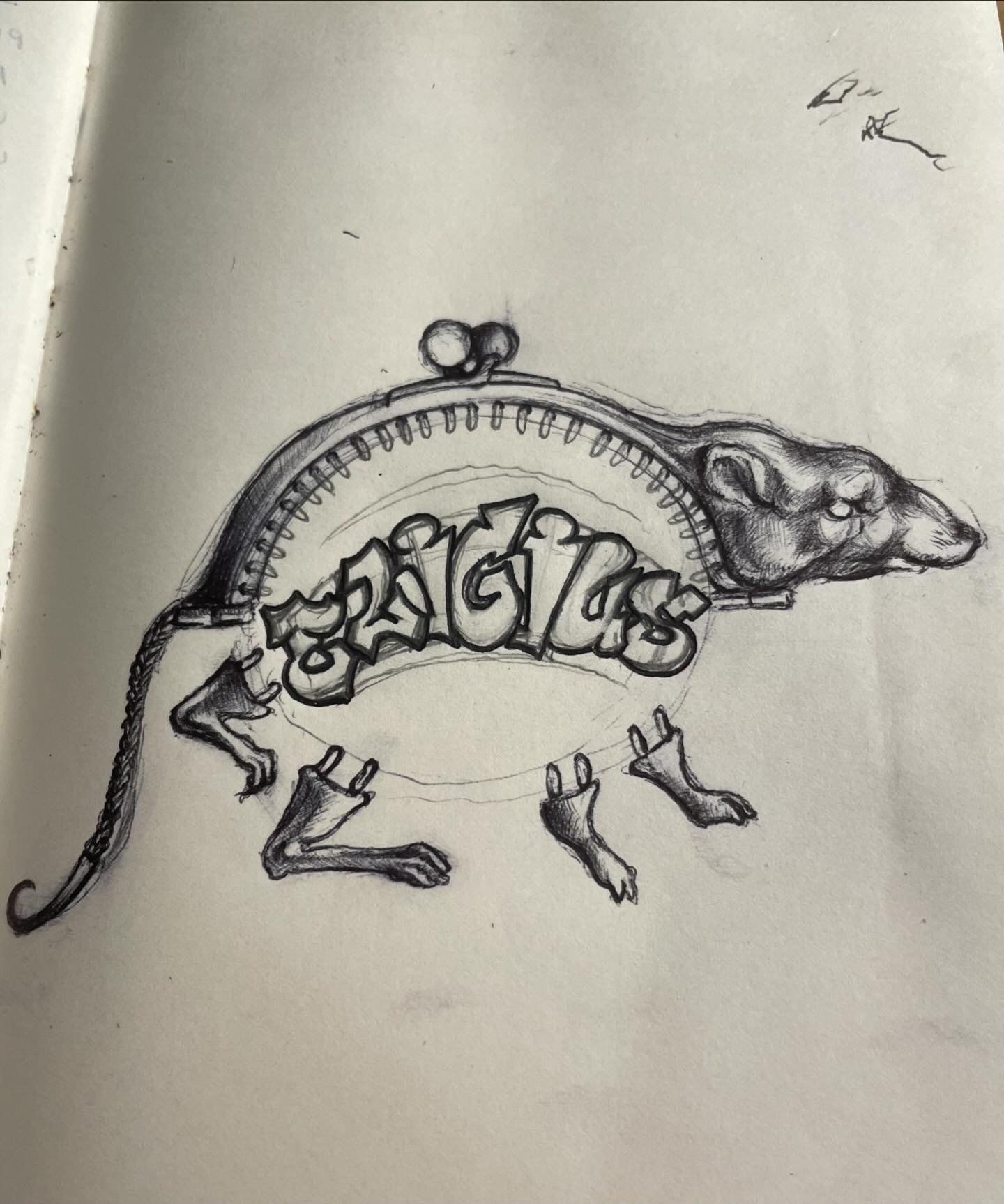Ideas for a future bag/purse/don&rsquo;t know. Maybe a rat&hellip;