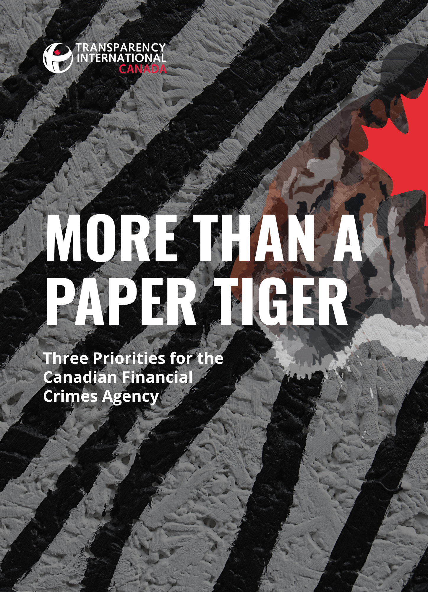 More than a paper tiger: Three priorities for the Canadian Financial Crimes agency