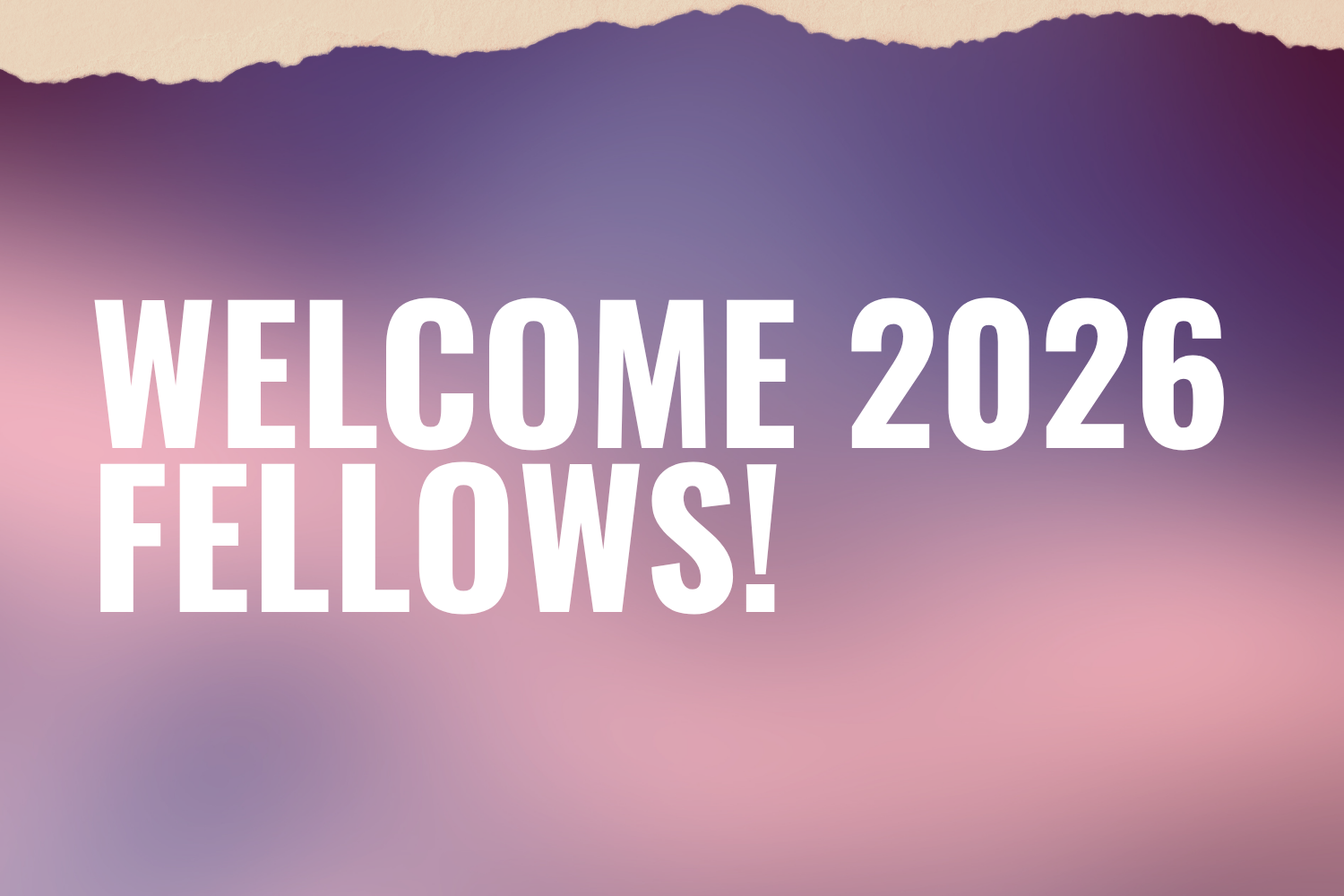 Transparency international Canada welcomes 2026  fellows from the munk school