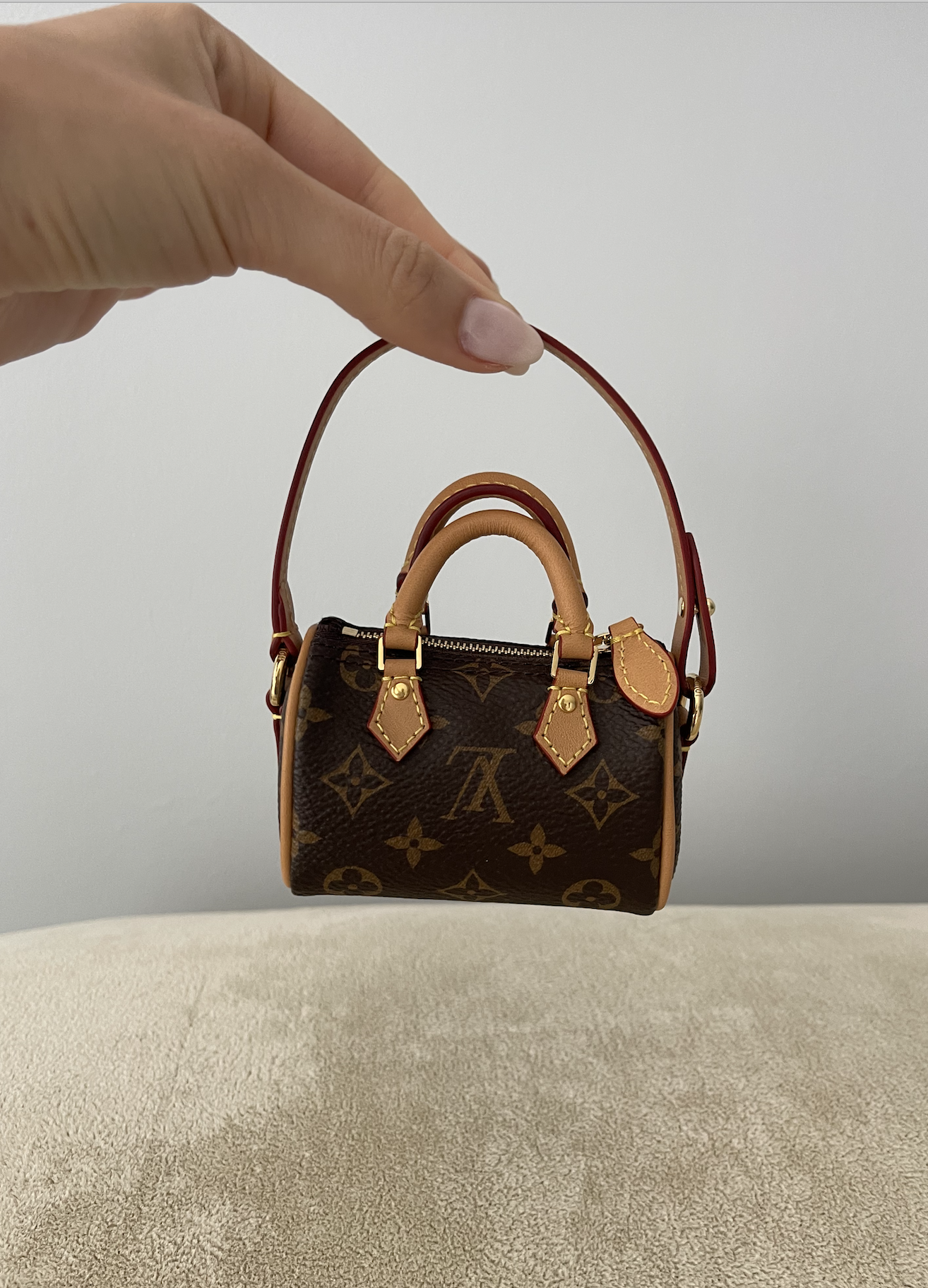 Louis Vuitton Micro Bag