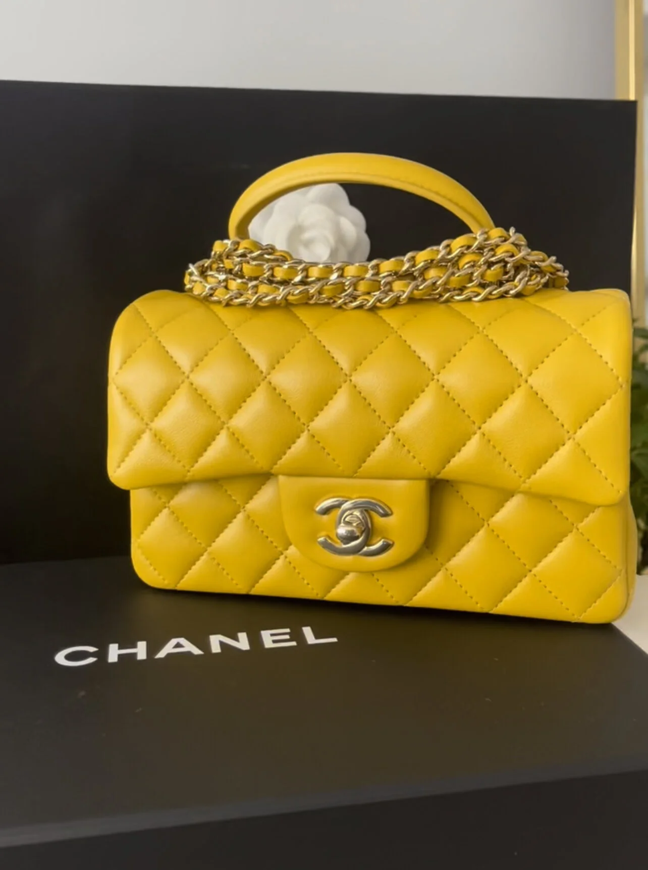 B09DA155-7C7F-49AD-87E8-0ADE9006B175