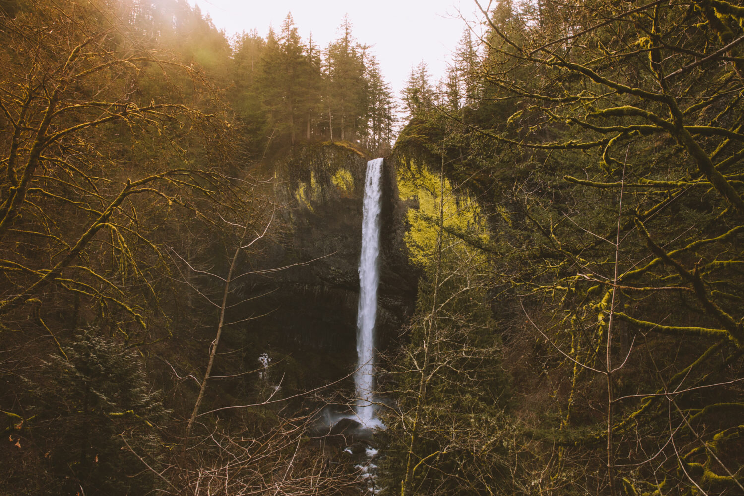Waterfalls in the Gorge