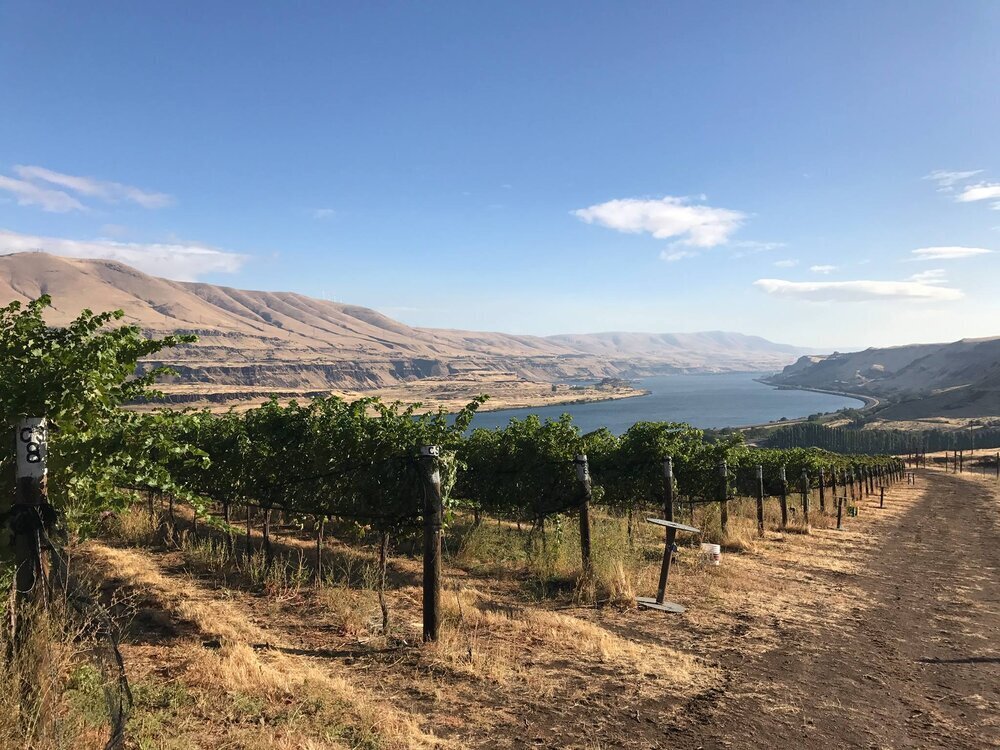 Columbia Gorge Wineries