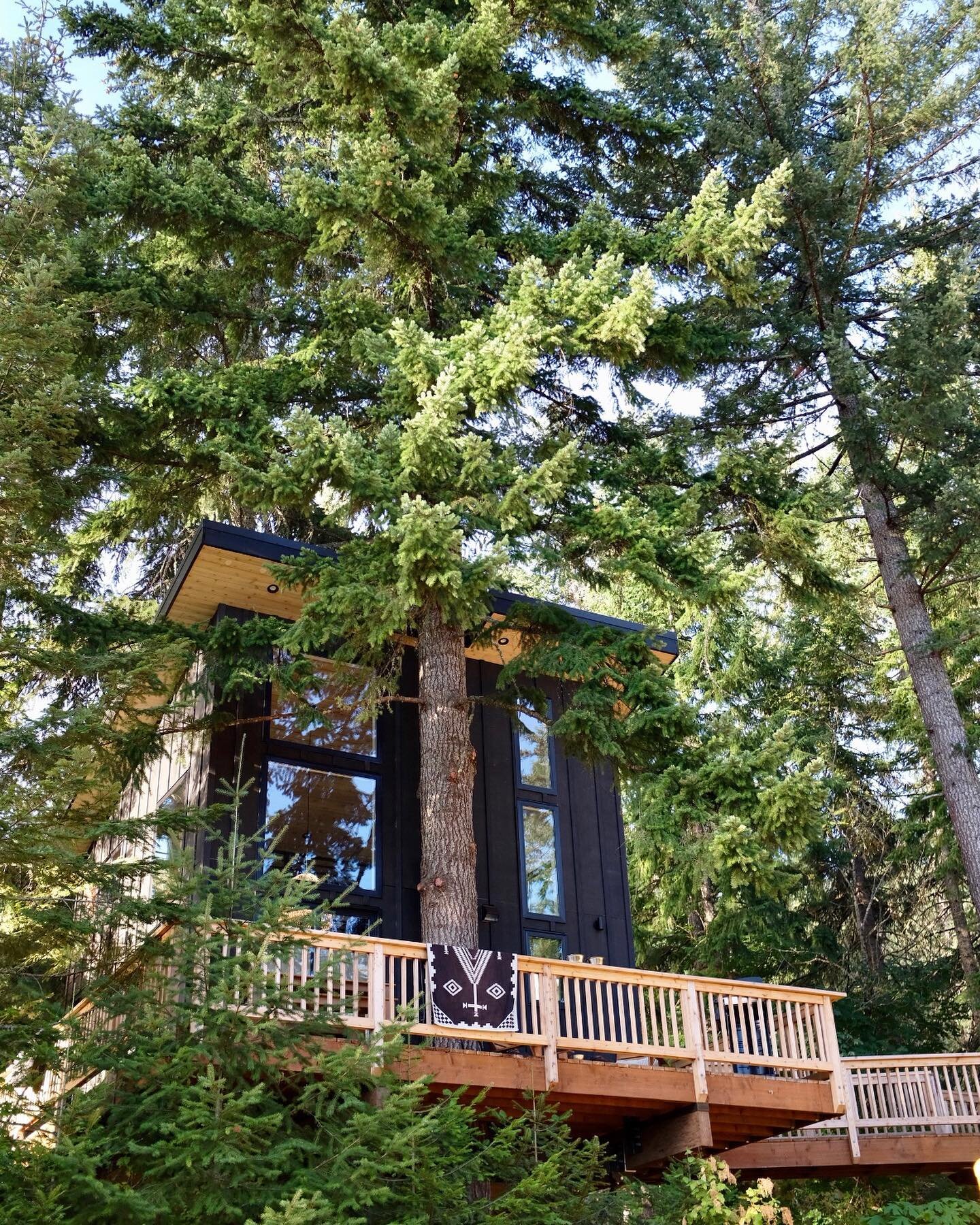 Summertime and the living&rsquo;s easy. 🌲🧡
.
.
.
#theklickitattreehouse #welivelifeinthetrees #treehouse #airbnb #whitesalmon #hoodriver #dwell #cabin #cabinporn