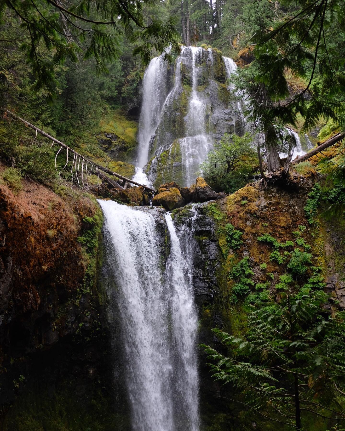 We had a cancellation, and this Wednesday September 2nd is available to book the treehouse.
.
.
Access the power of infinite inspiration by hiking to this double waterfall and soaking in all its natural beauty before checking in and spending the nigh