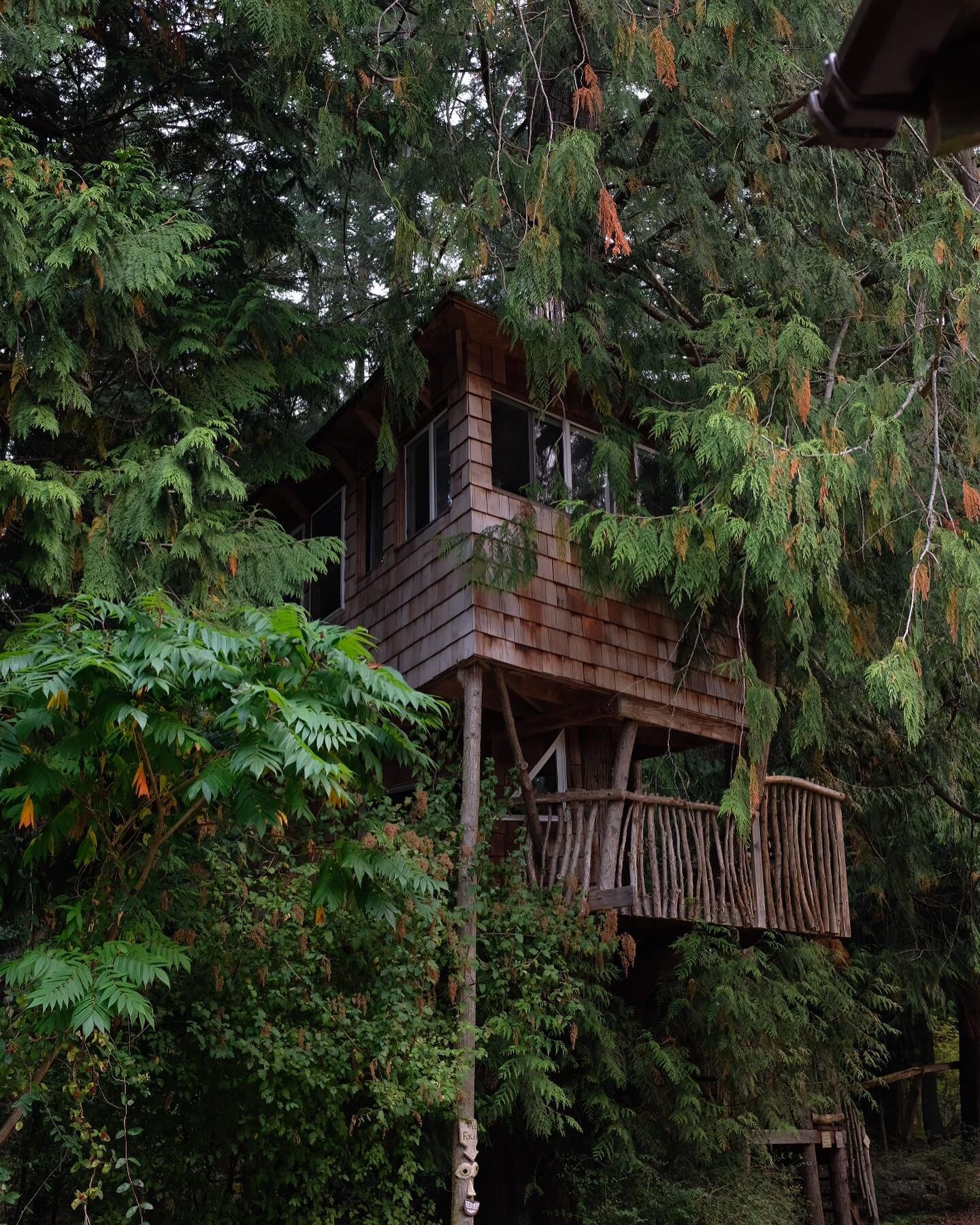 Last week we were fortunate to take a much needed trip up to the San Juan islands to take a break from world. One day, we stumbled upon this incredible treehouse visiting @orcasislandpottery. A real beauty built between a handful western red cedars, 