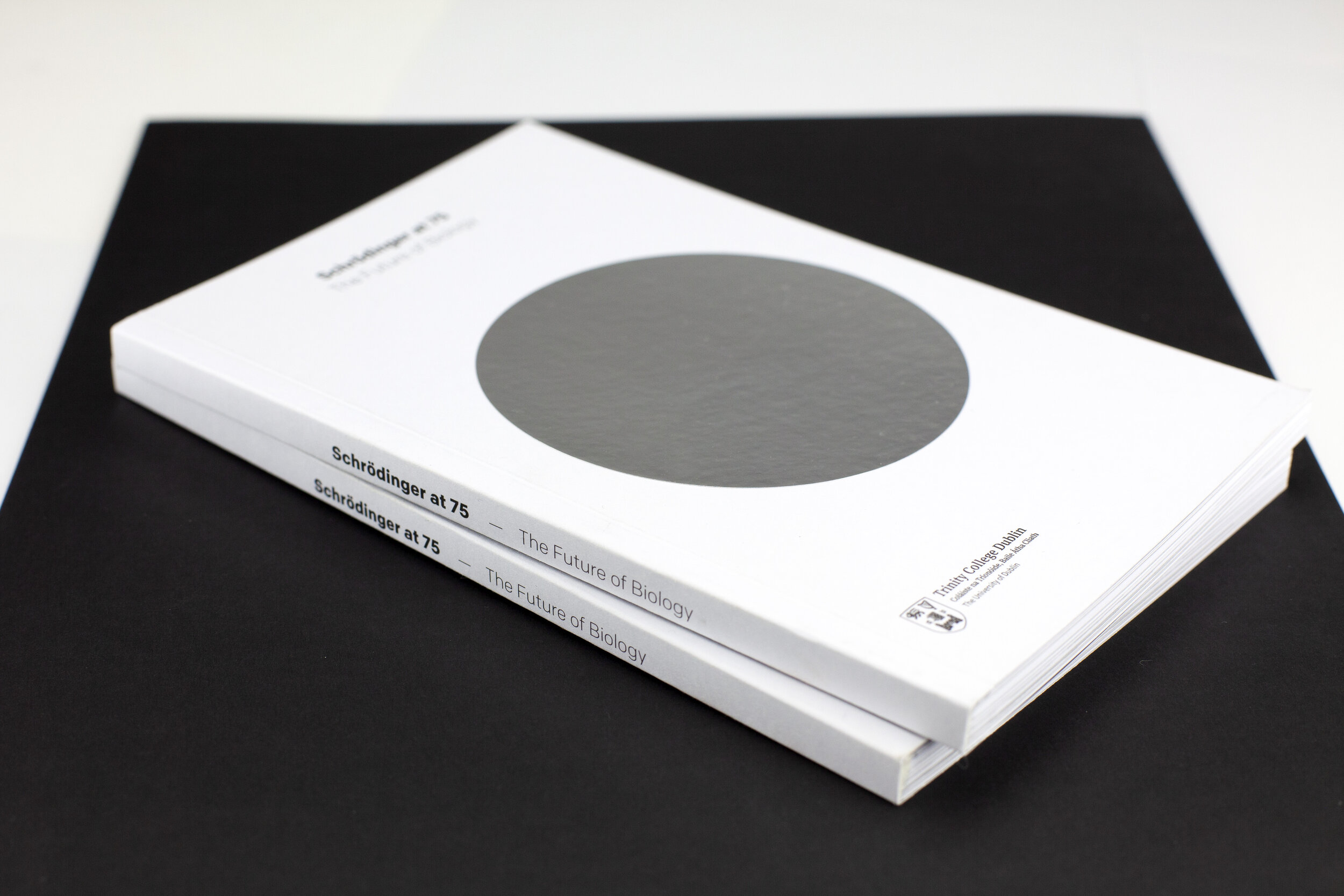 graphic-design-schrodinger-event-design-book-publication-print-identity.jpg