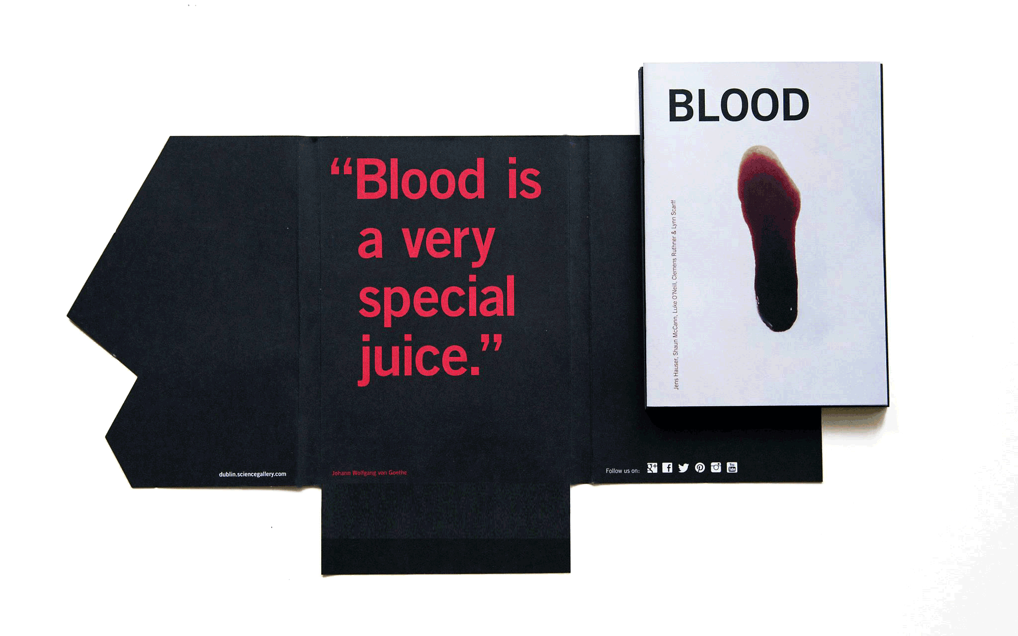blood-exhibition-dublin-catalogue-design.gif