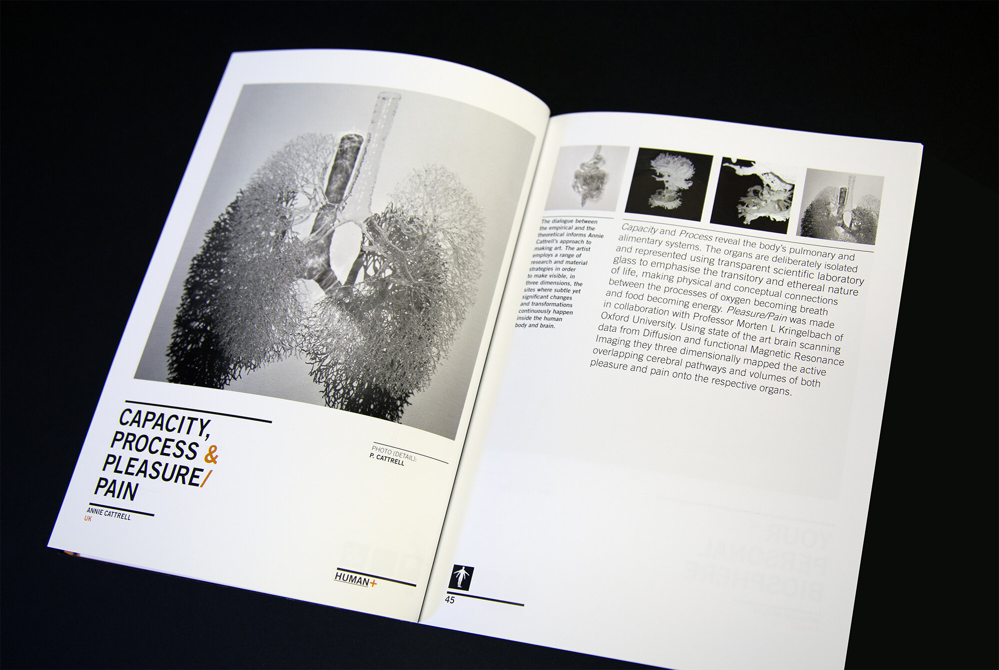 Human+ exhibition catalogue layout design