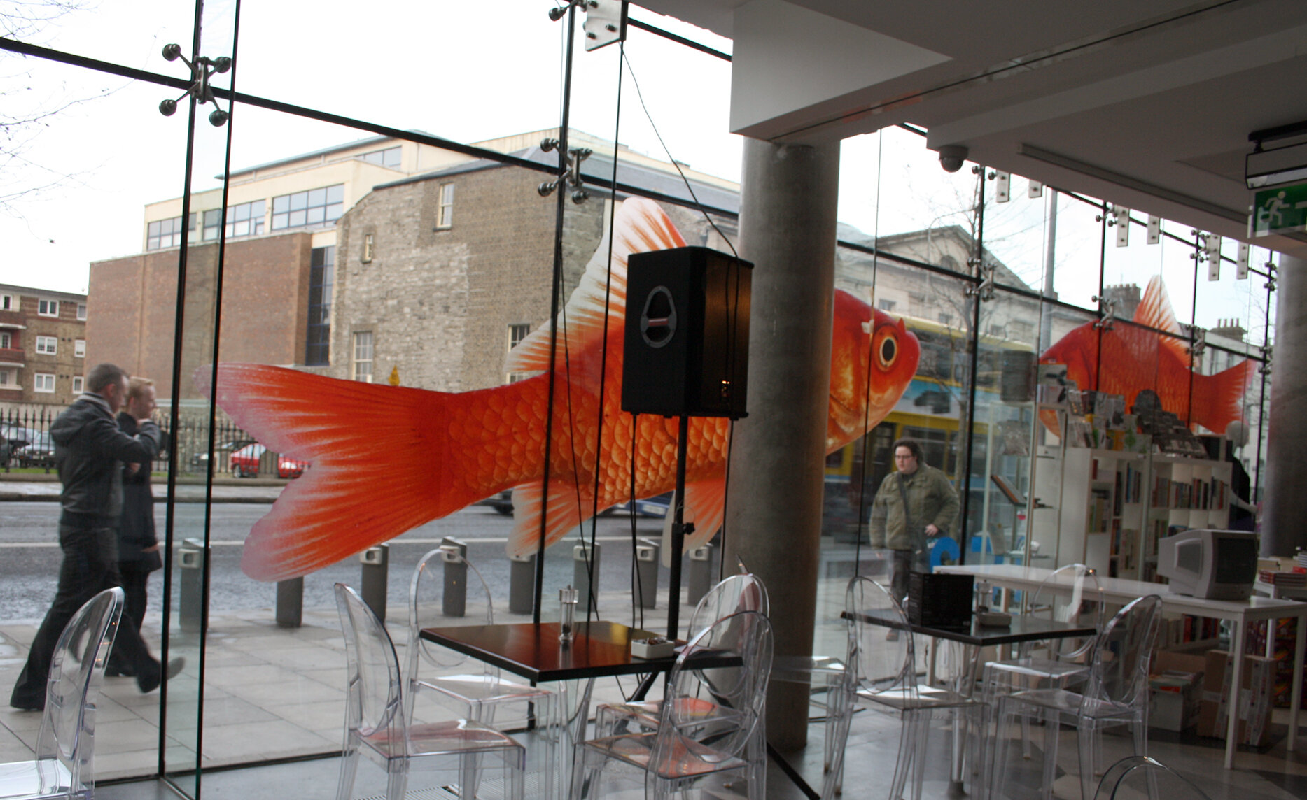 Gold fish image as a lead visual for the exhibition Memory Lab