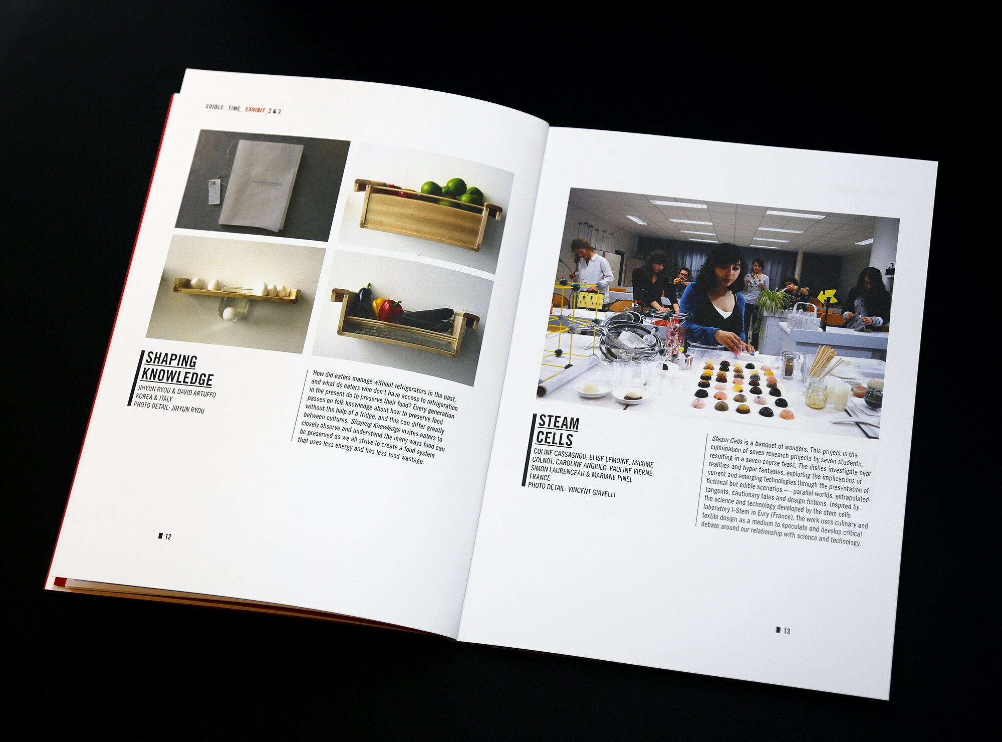 catalogue spread design with individual exhibit, their descriptions and photographs 