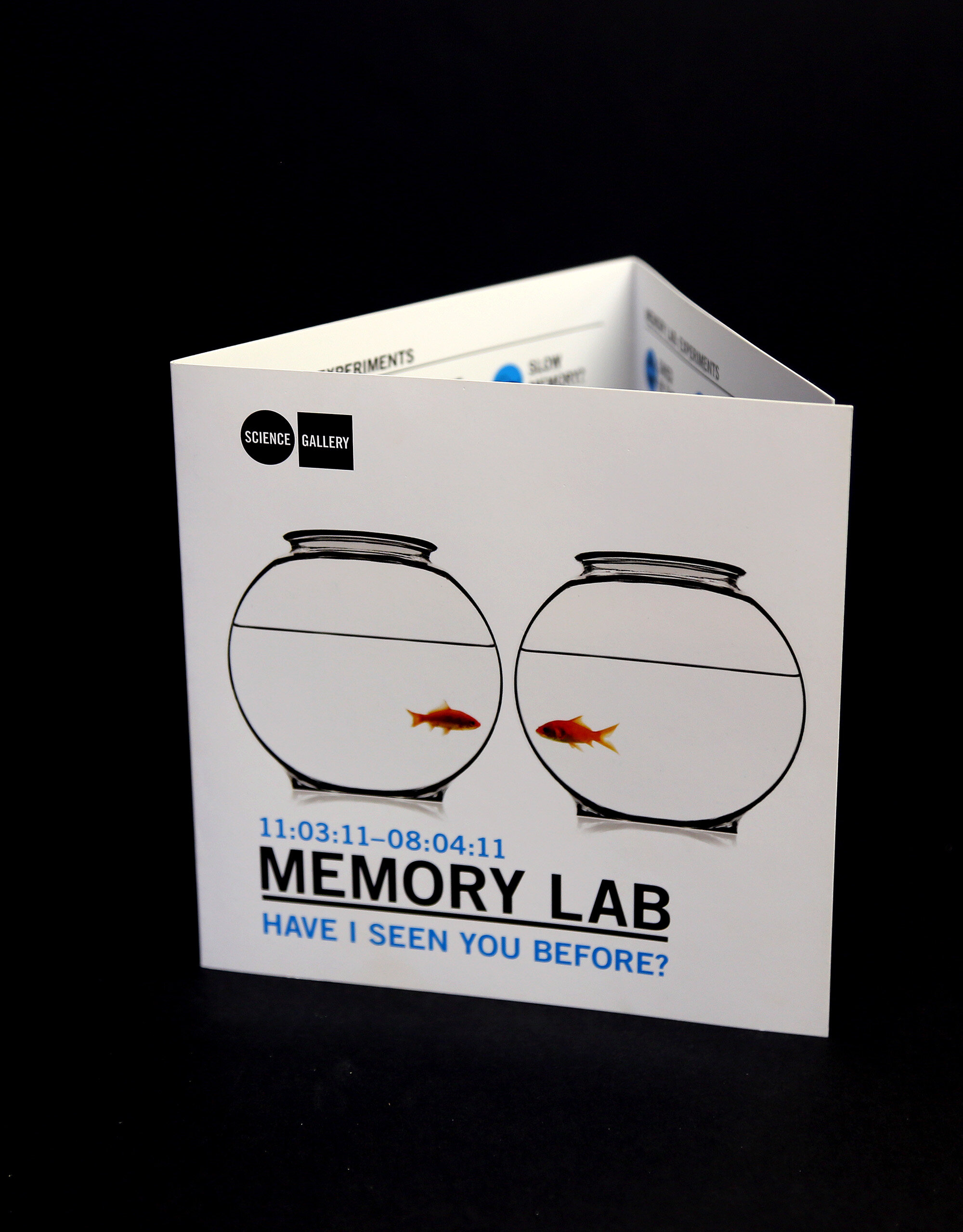 memory-lab-brochure-design.JPG