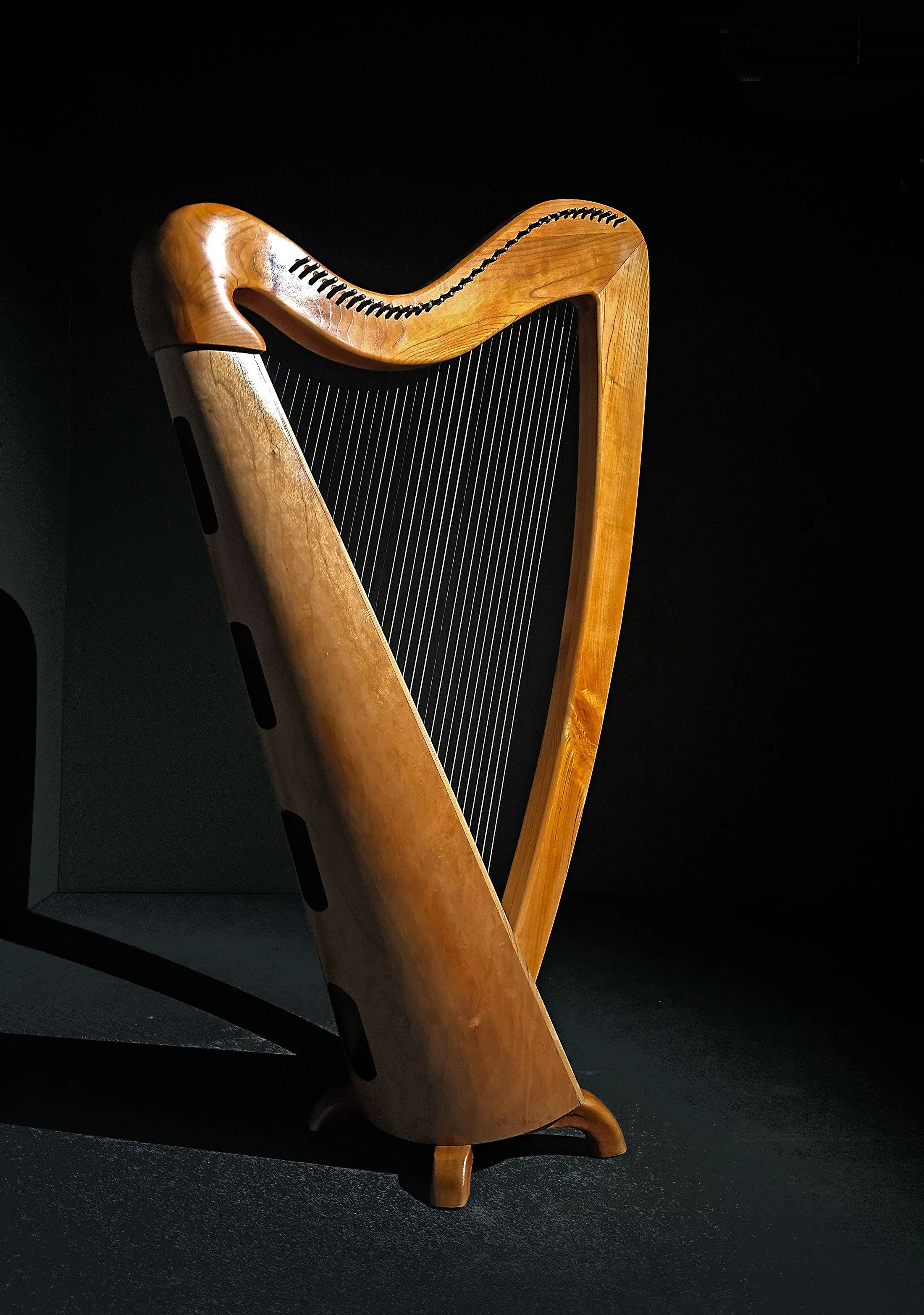 Ellipse-2-Harp.jpg
