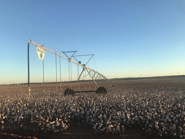 Pivot+-+Cotton.jpg