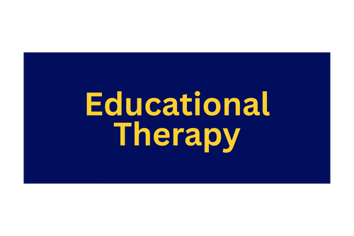Educational Therapy