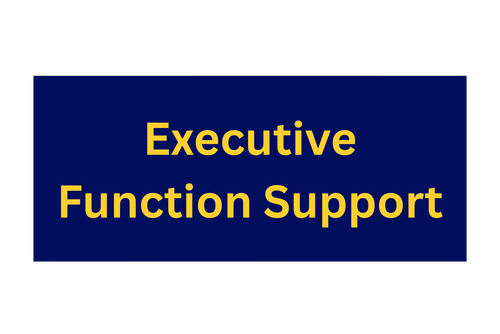 Executive Function Support