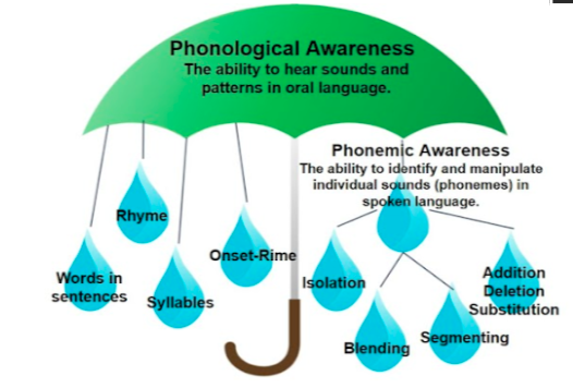 elkp-phonological-awareness-the-educators-playground