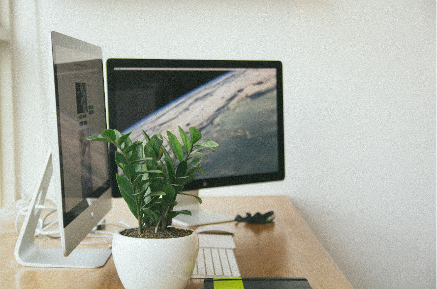 Le développement durable pour booster le mieux-être de vos employés - voici comment