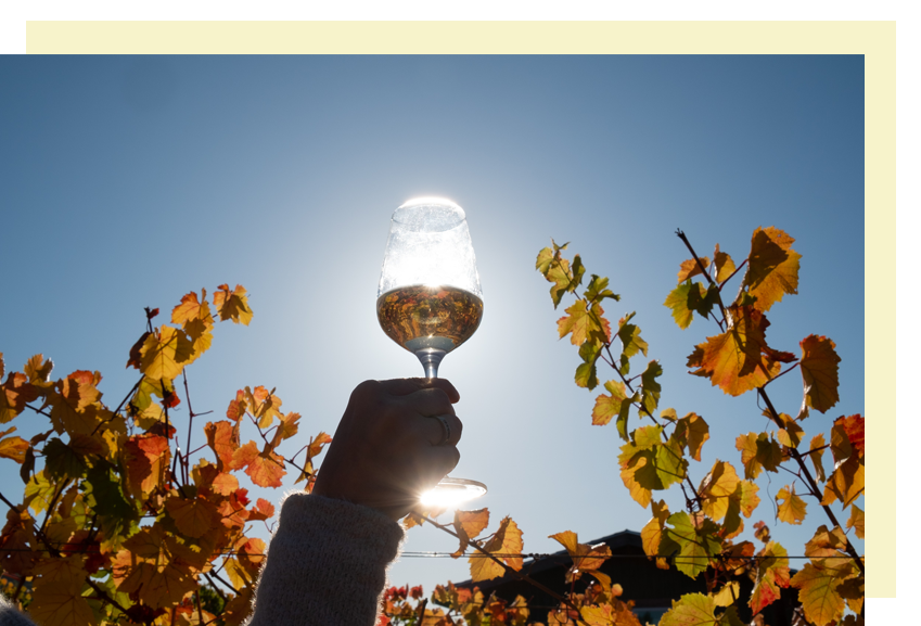Anderson Valley Winegrowers Association's Aromatic White Wine Festival