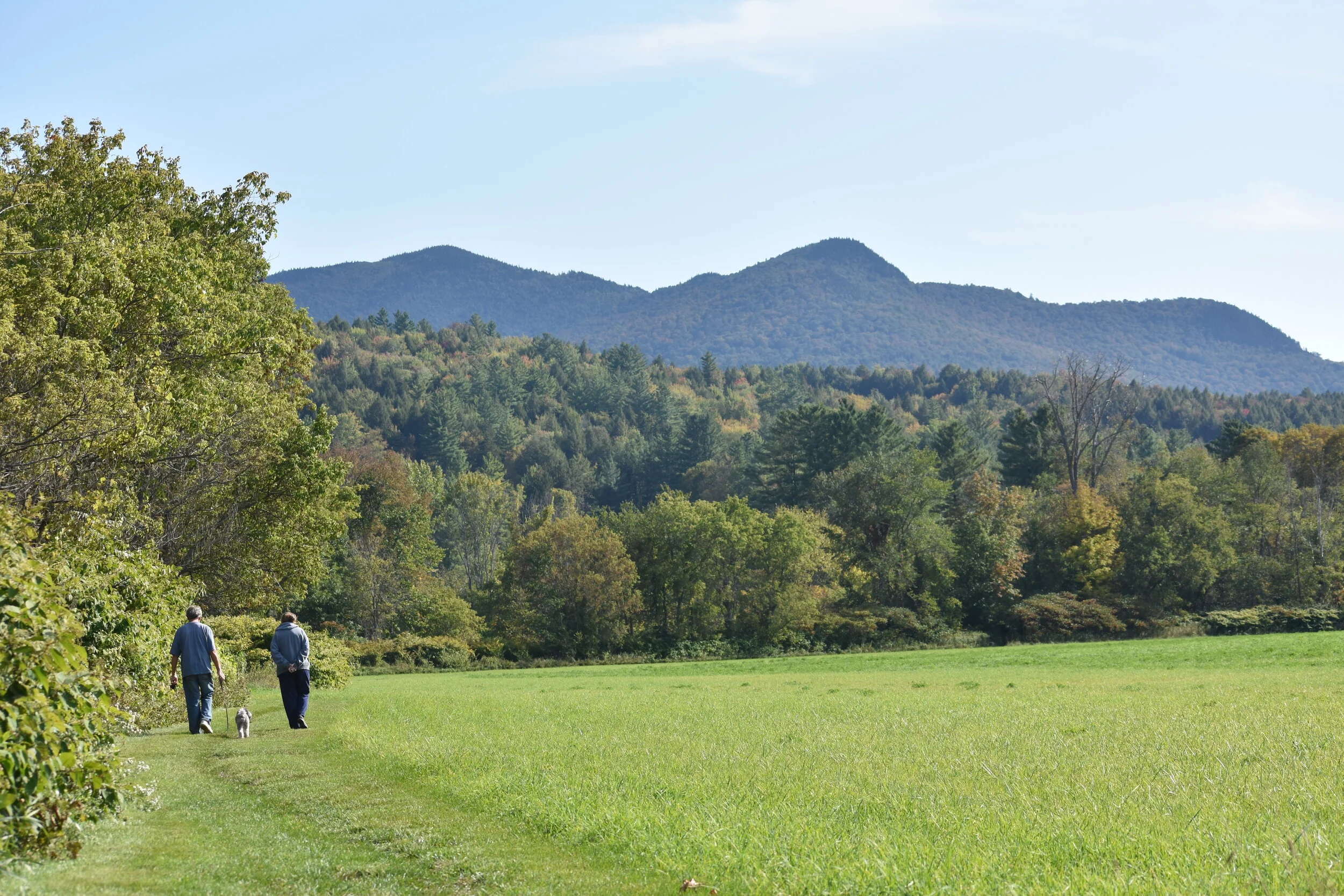 2020 MRP Annual Meeting