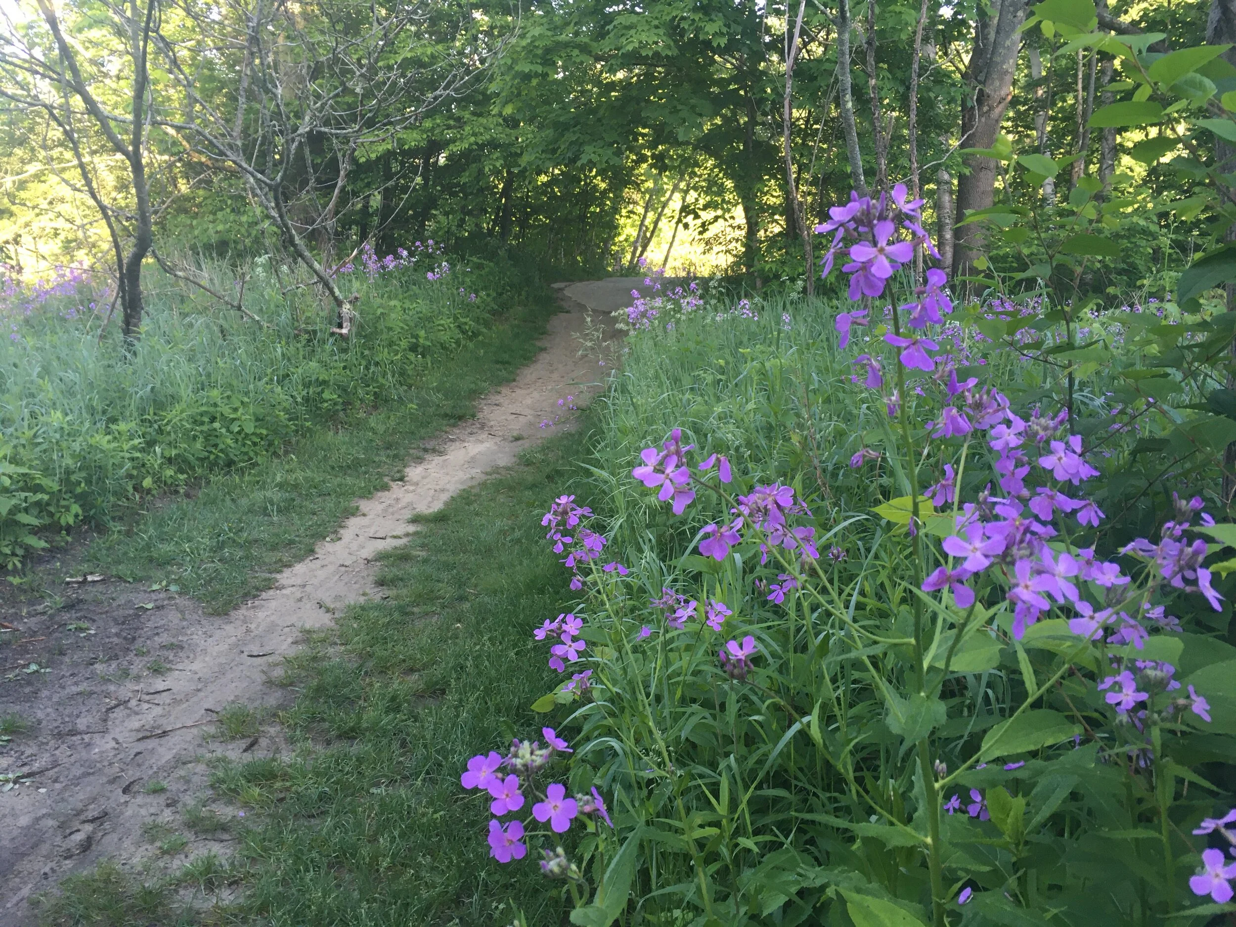 Newsletter: Spring Updates!