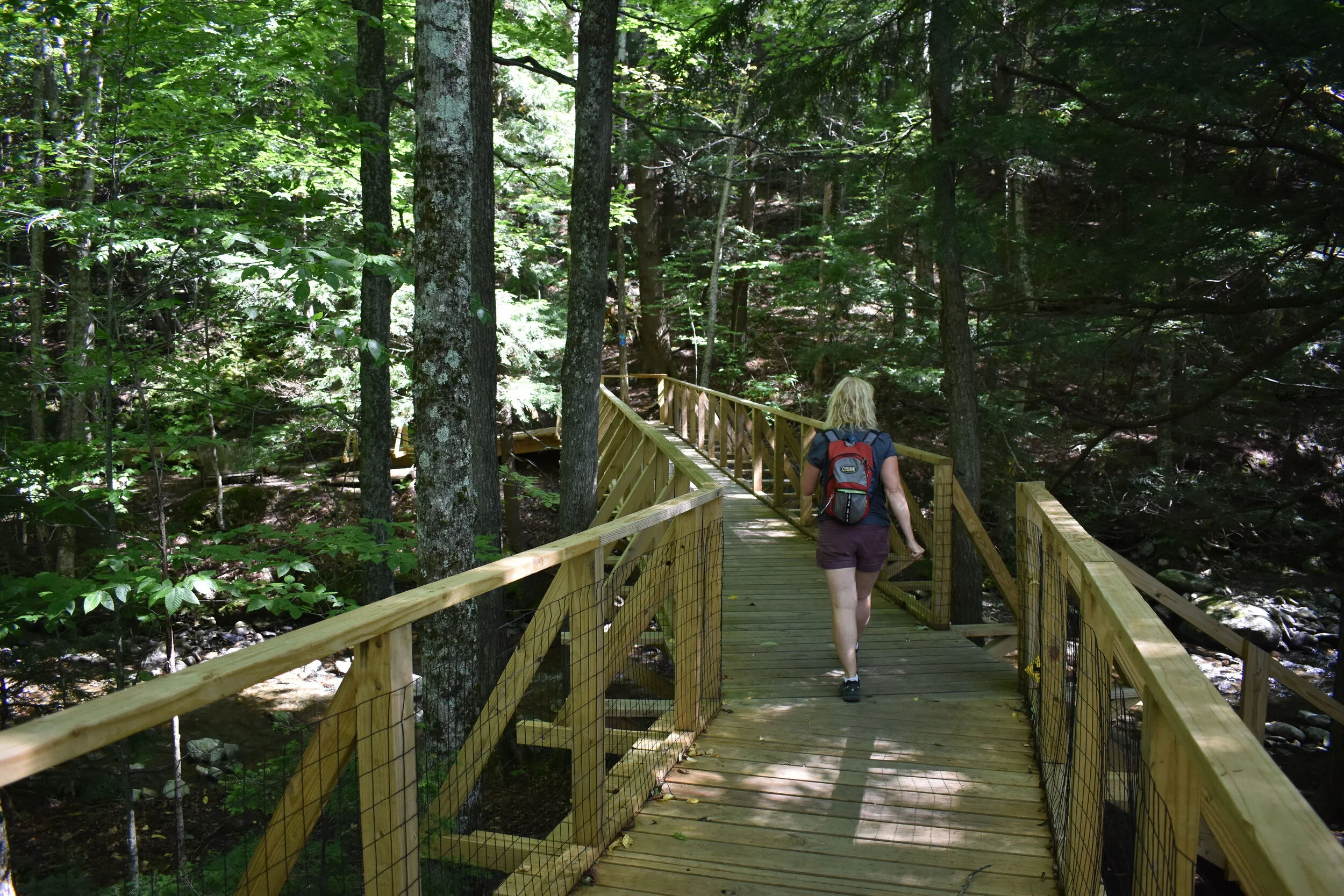 Flexibility and Diversity Make the Mad River Path