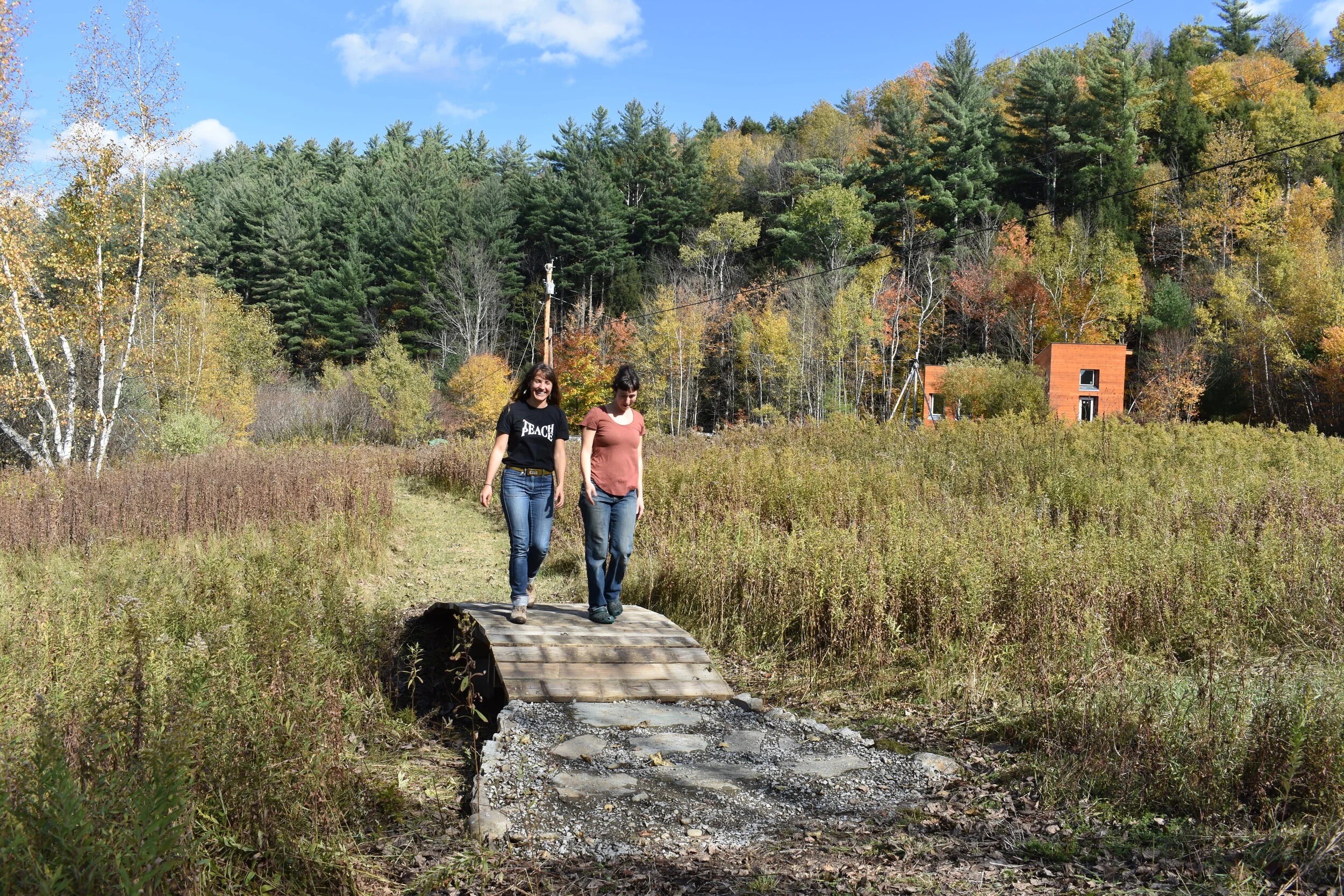 New path section at Yestermorrow!