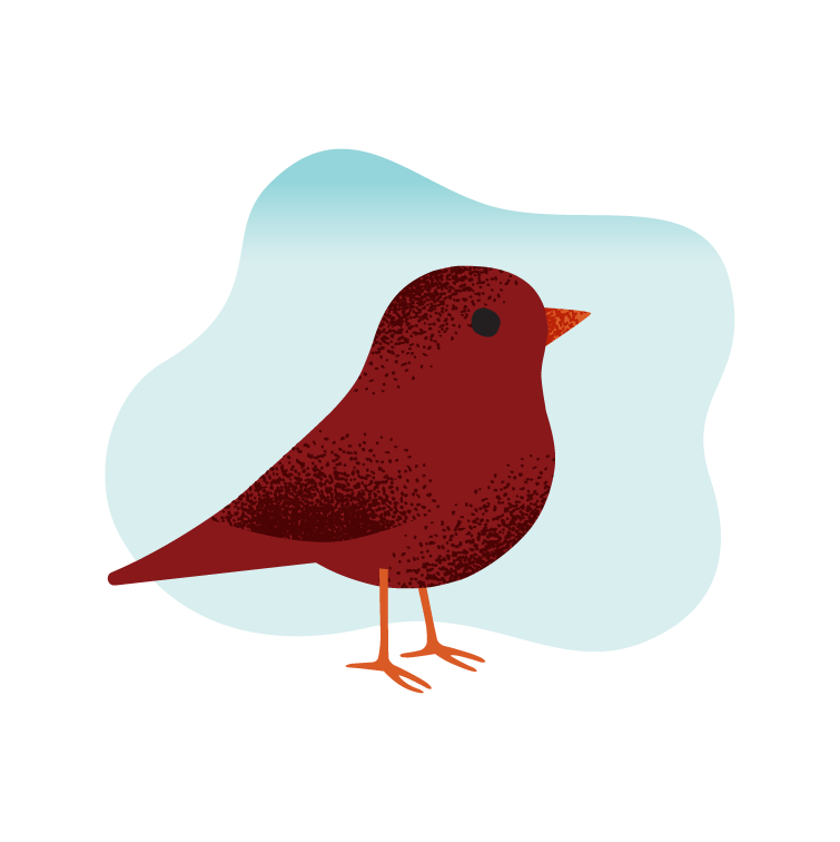 Birding.png
