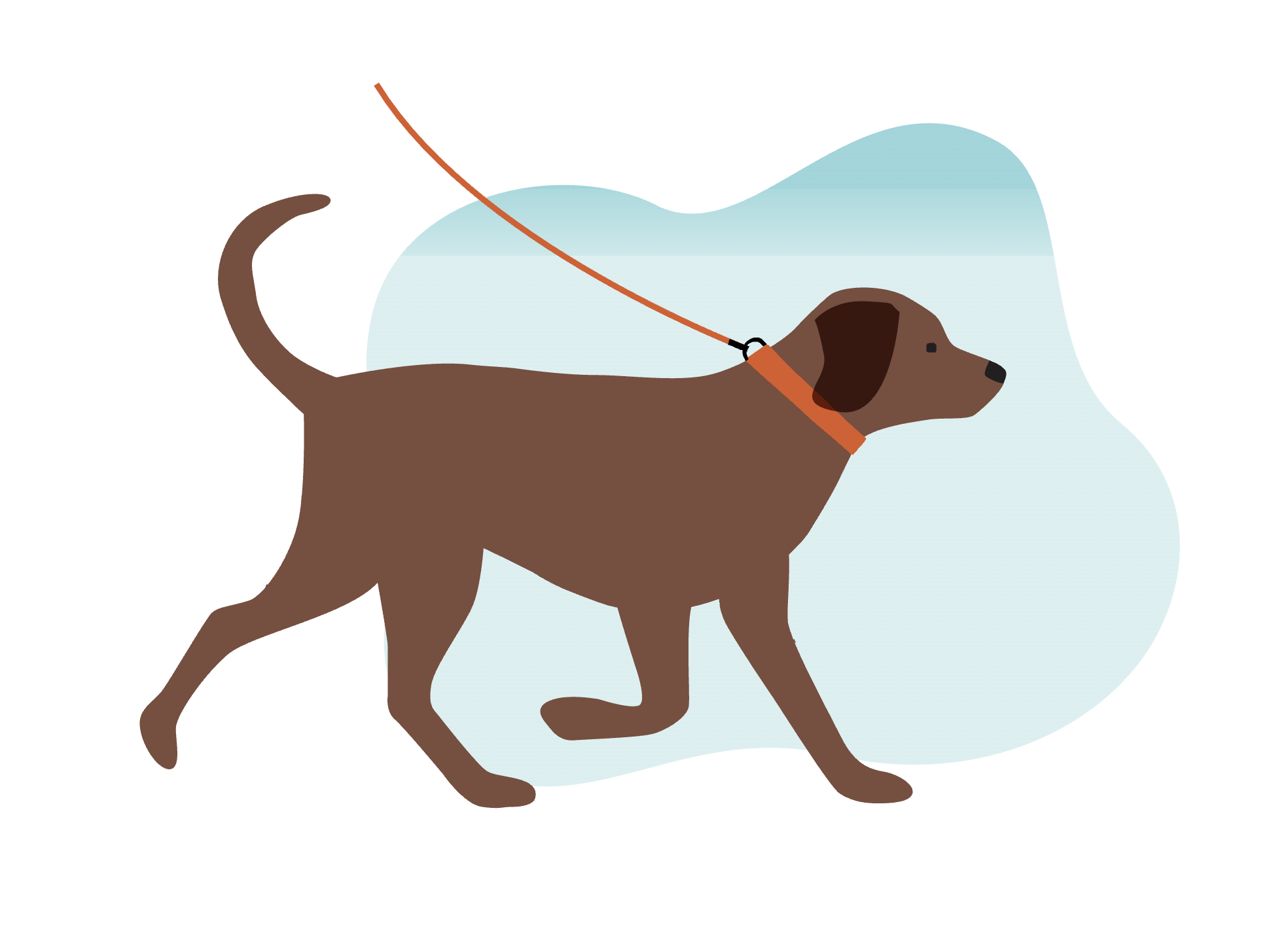 A Note About Dogs on the Path