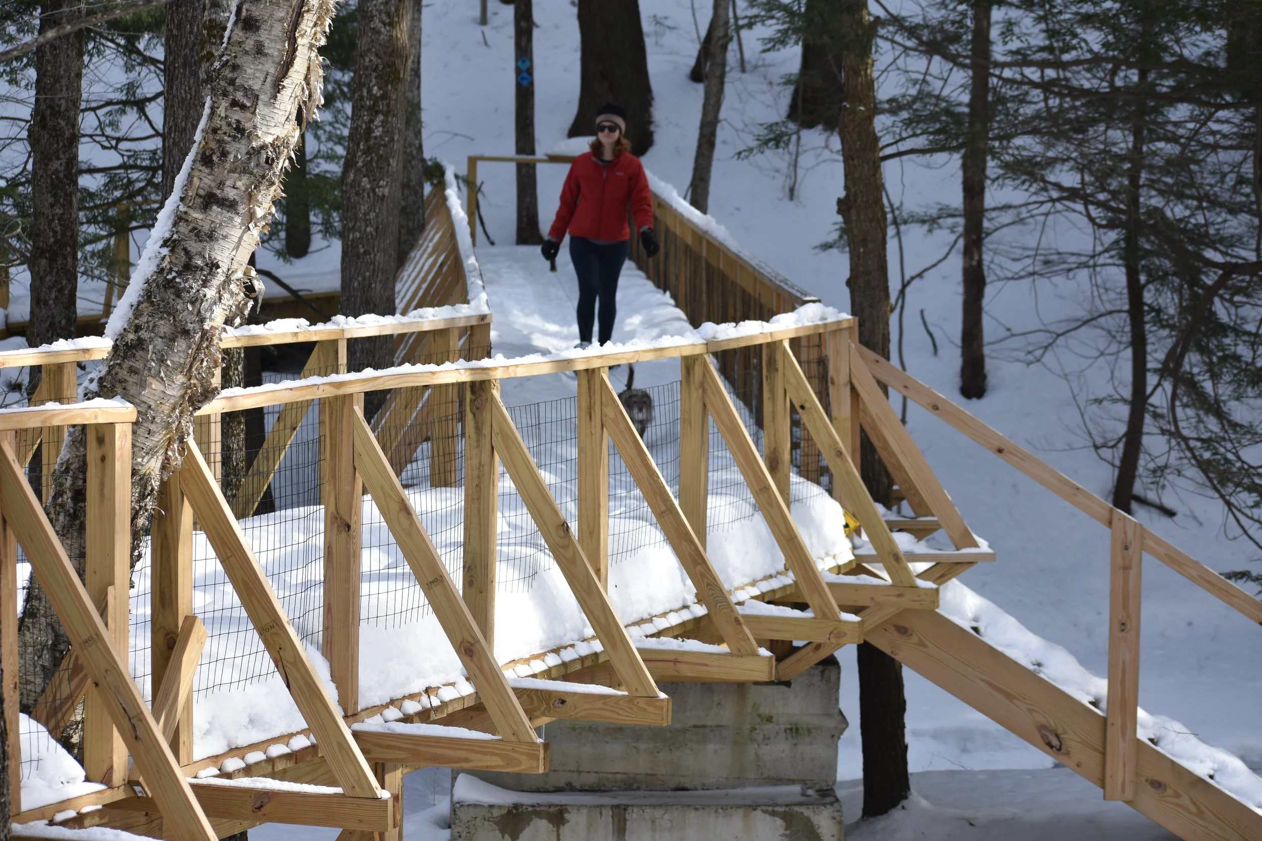 chase brook town forest bridge.JPG